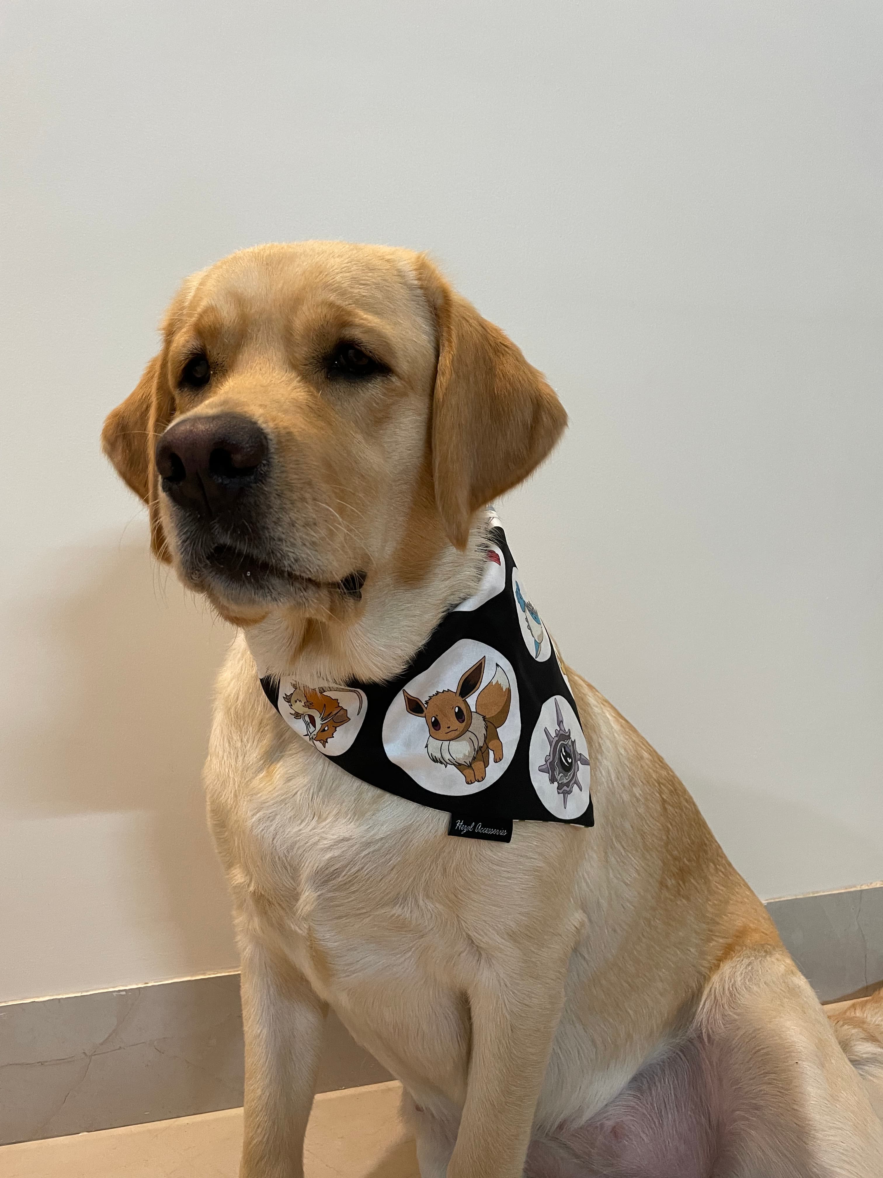 Pokémon Pals tie on Bandana 