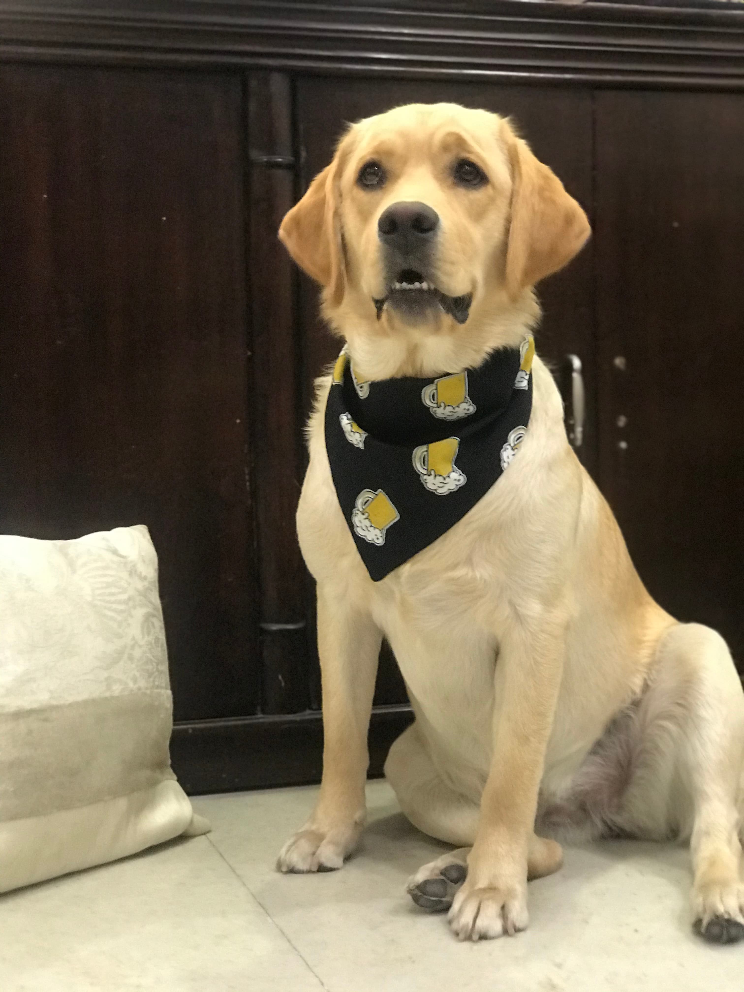 Beer Buddy tie on Bandana 