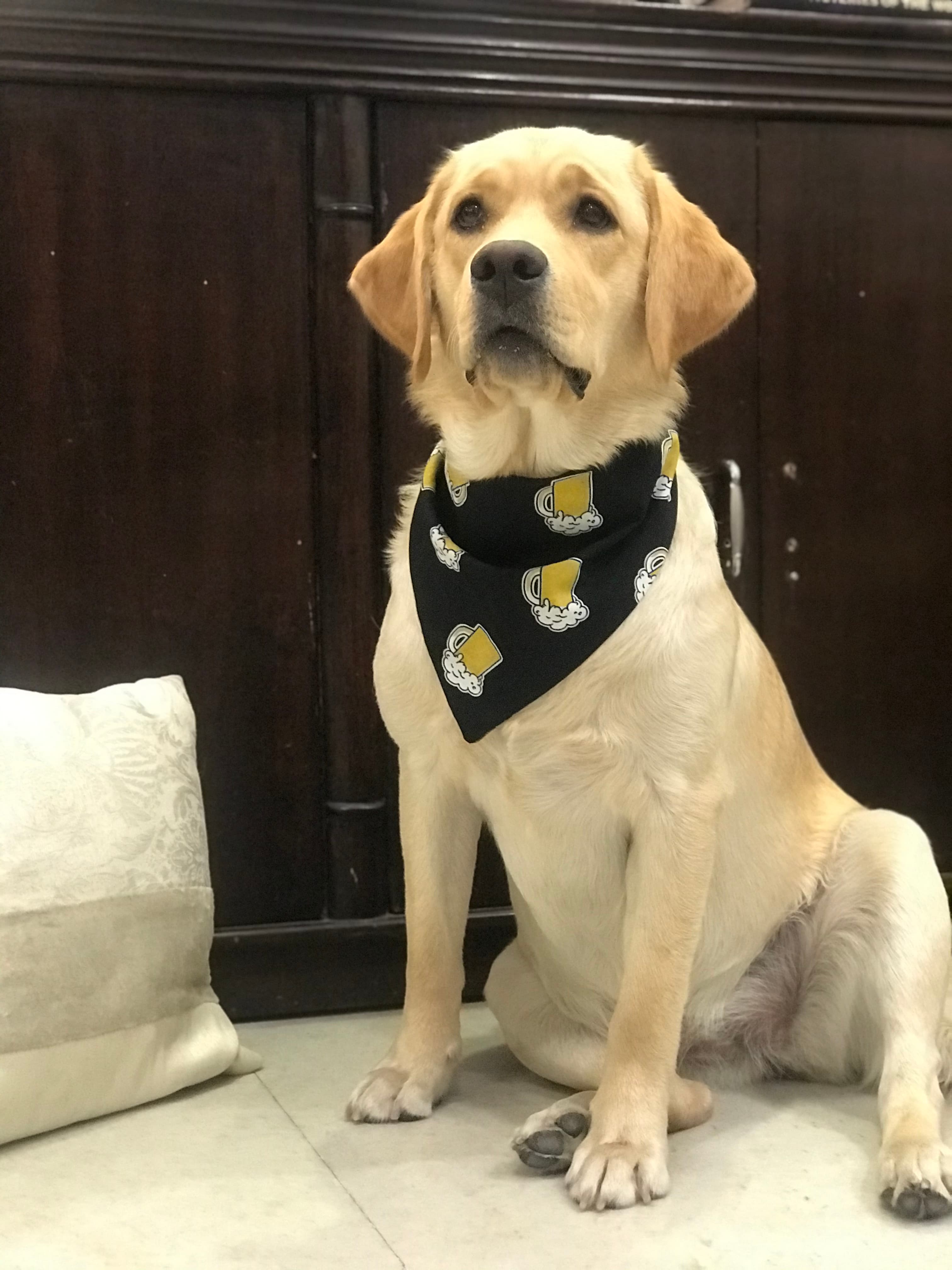 Beer Buddy tie on Bandana  image 2