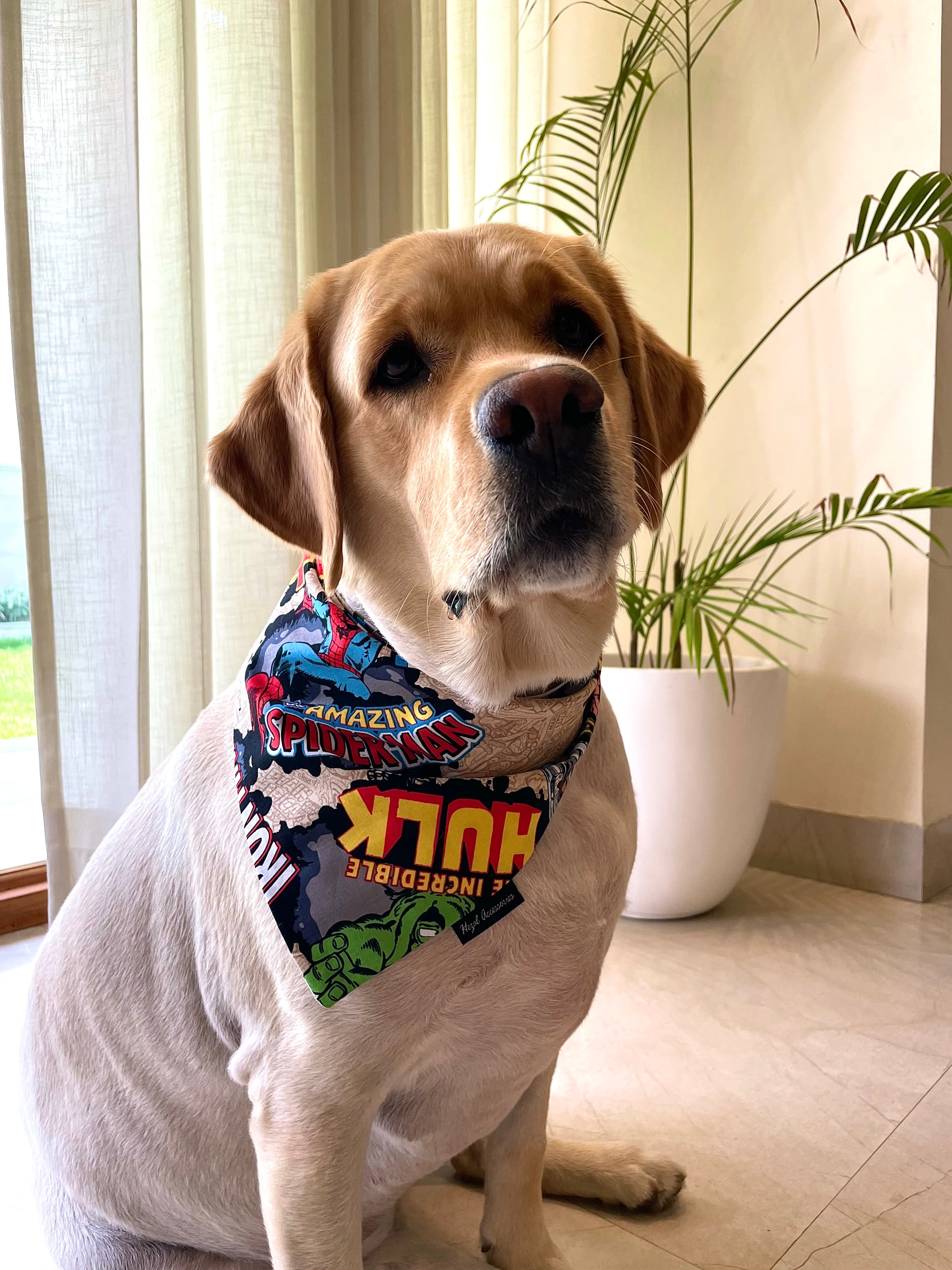 Marvel tie on bandana  image 2