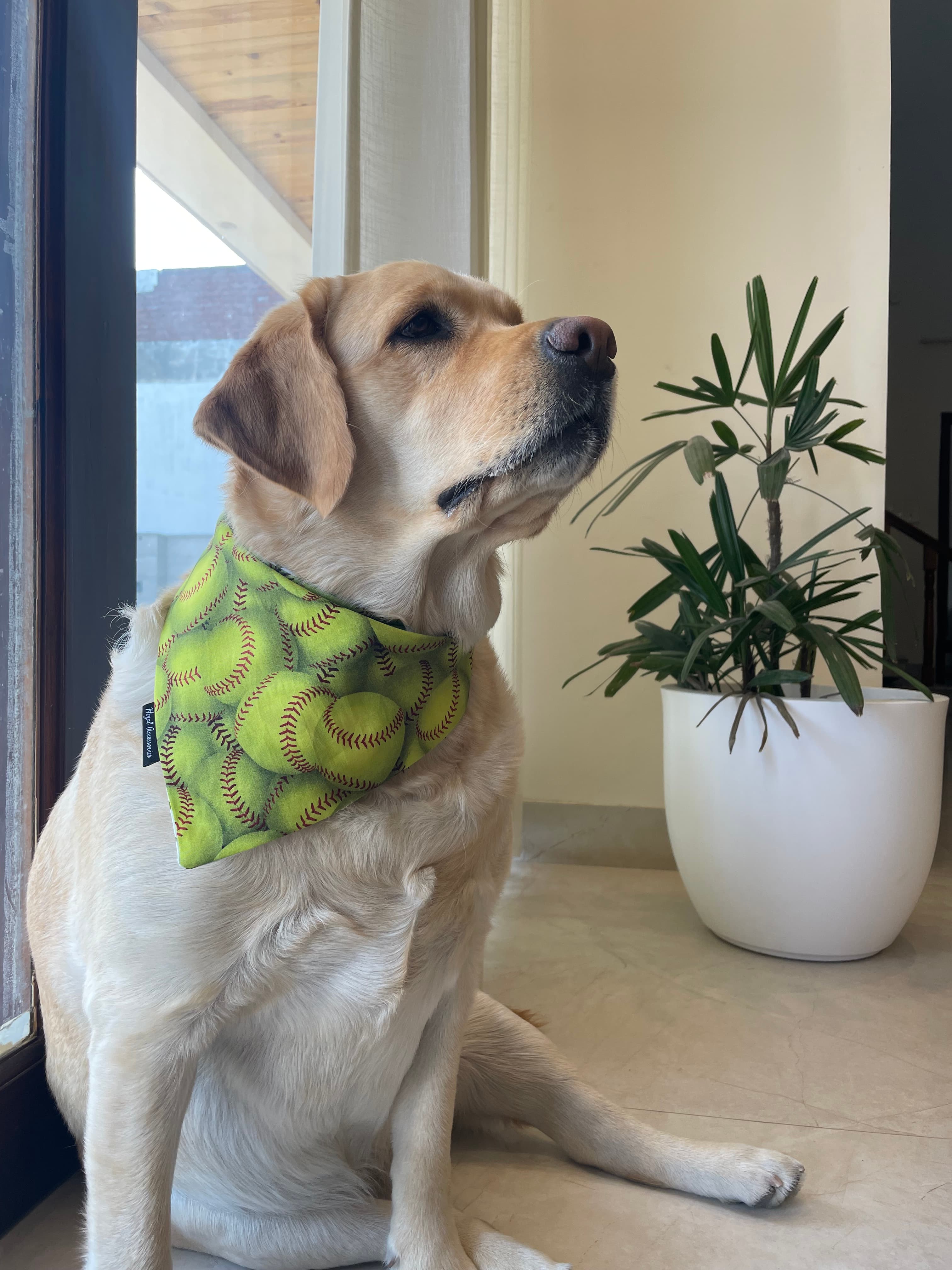 Grand Slam tie on Bandana image 4