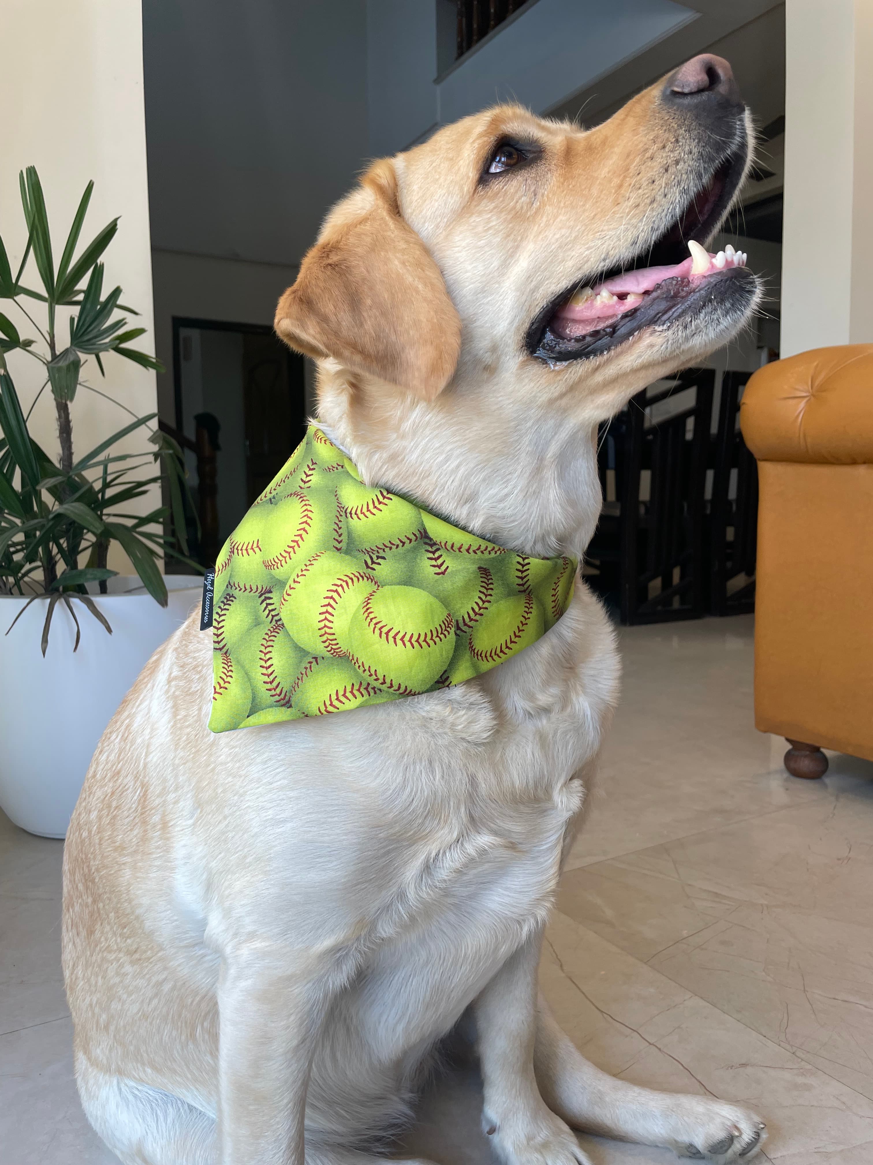 Grand Slam tie on Bandana image 3