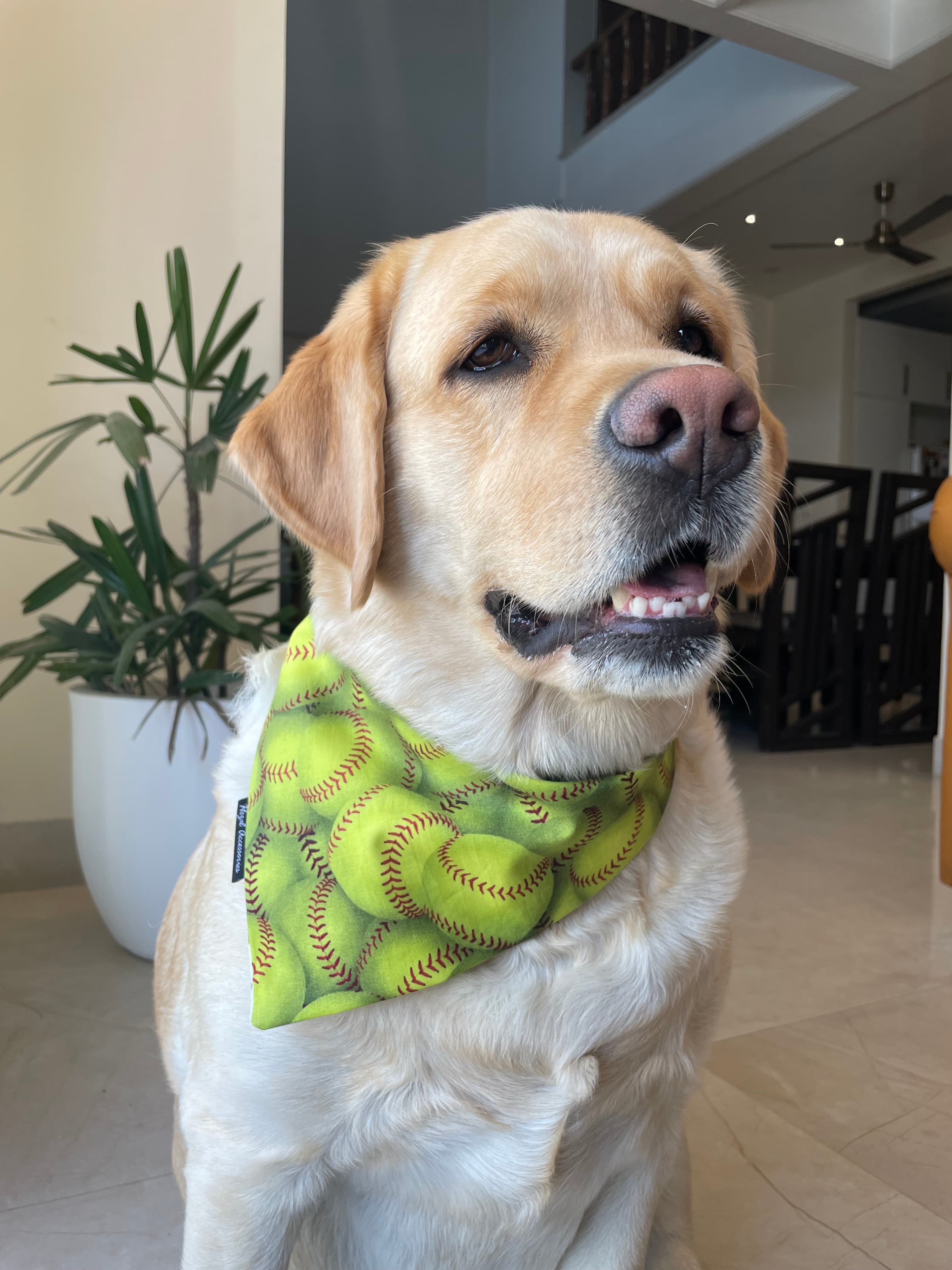 Grand Slam tie on Bandana