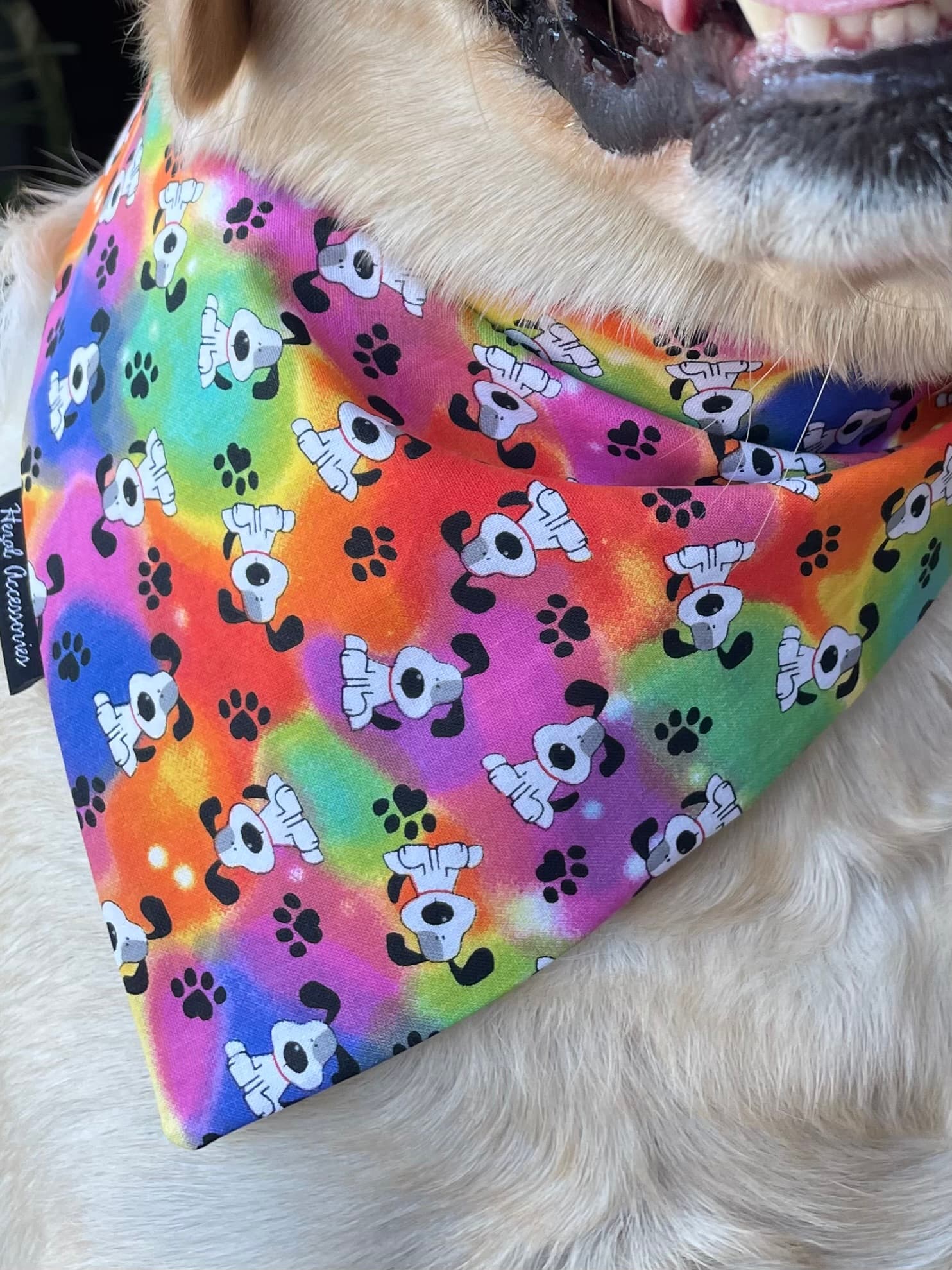 Pawsitive Vibes tie on Bandana  image 4