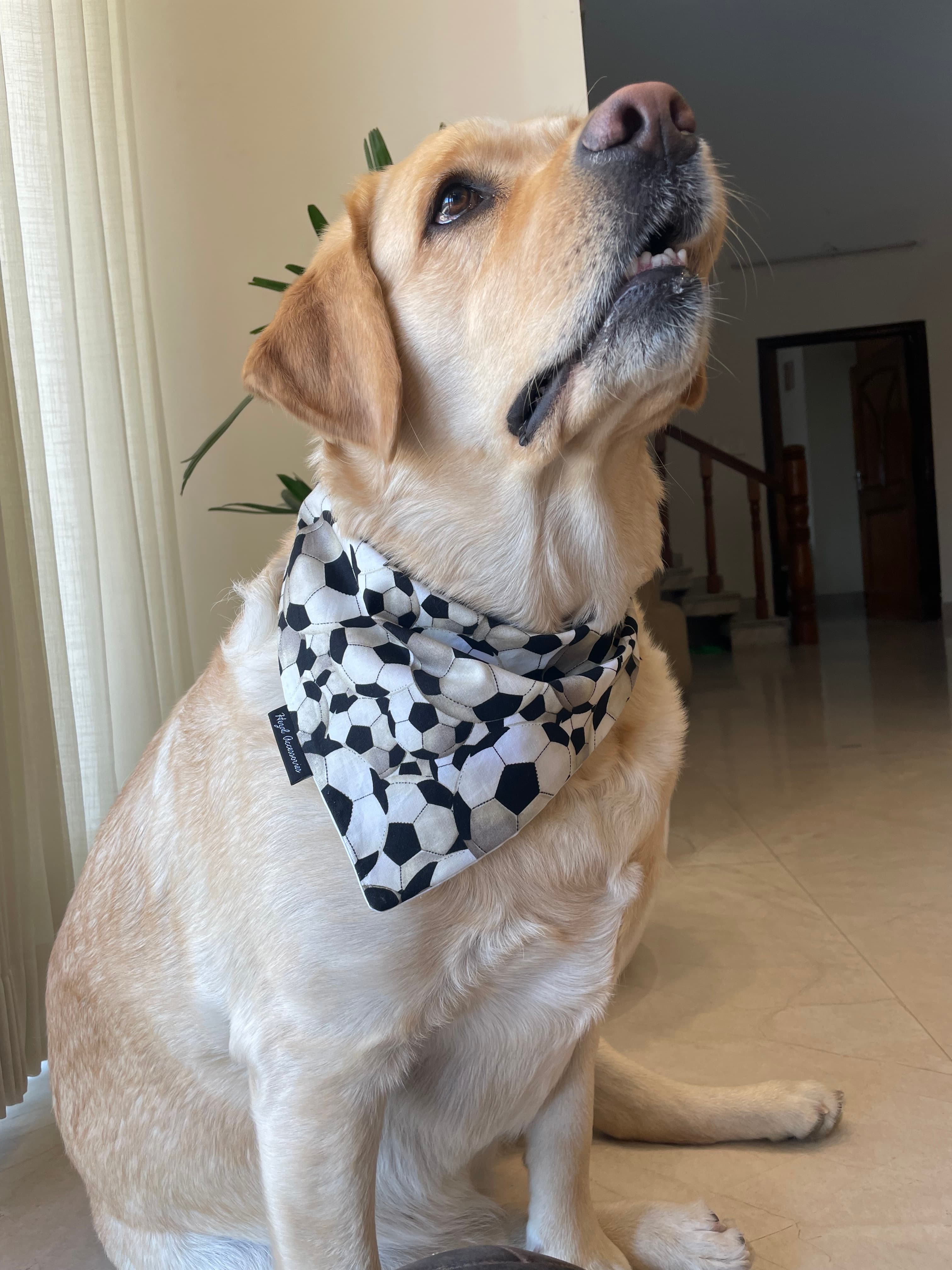 Goal Getter tie on Bandana  image 2