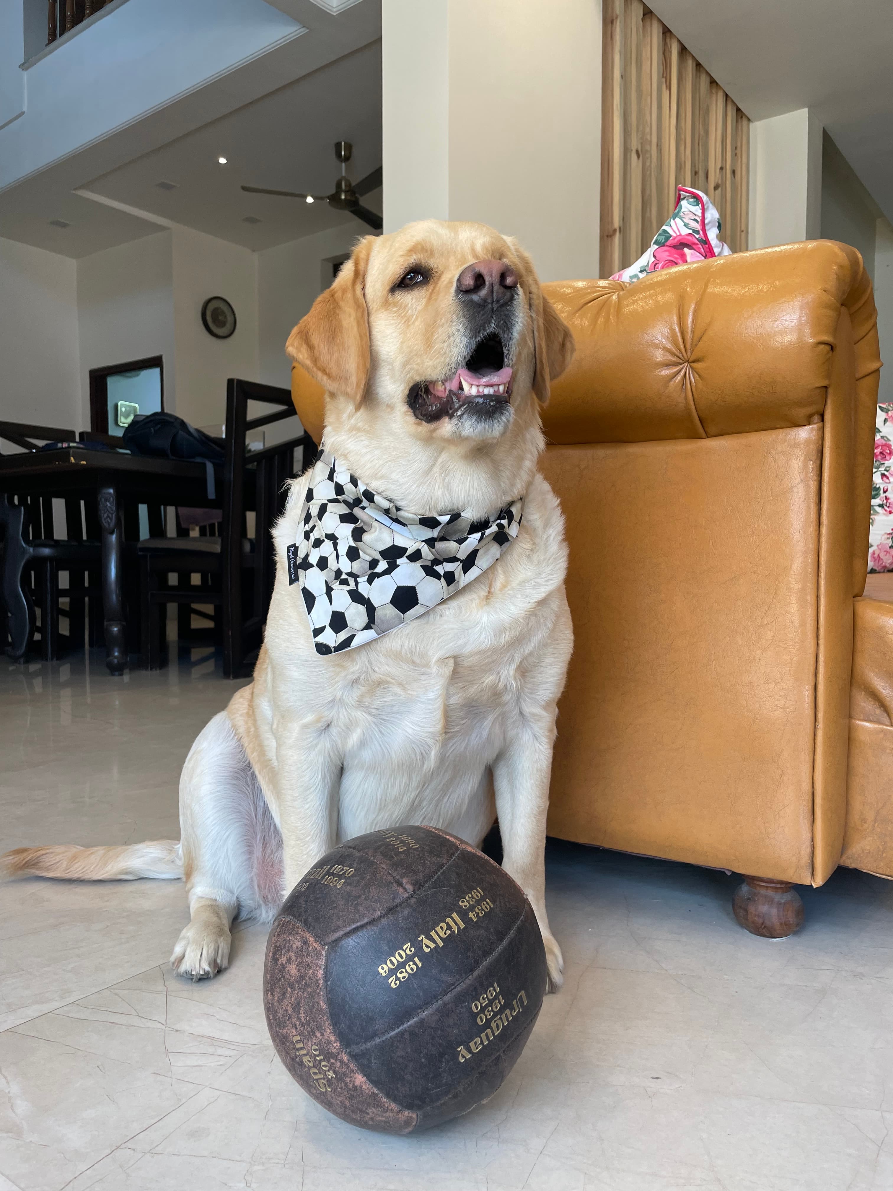 Goal Getter tie on Bandana  image 3