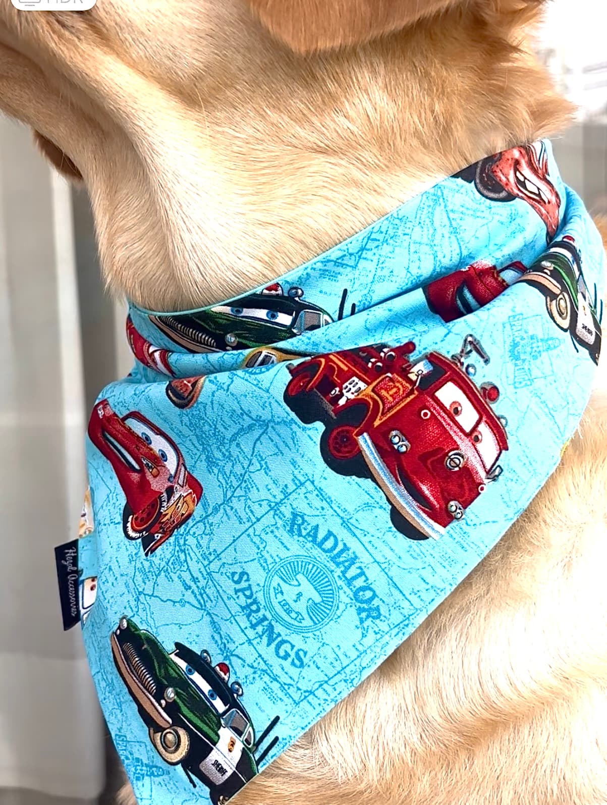 Fast & Furry-ous tie on Bandana  image 4