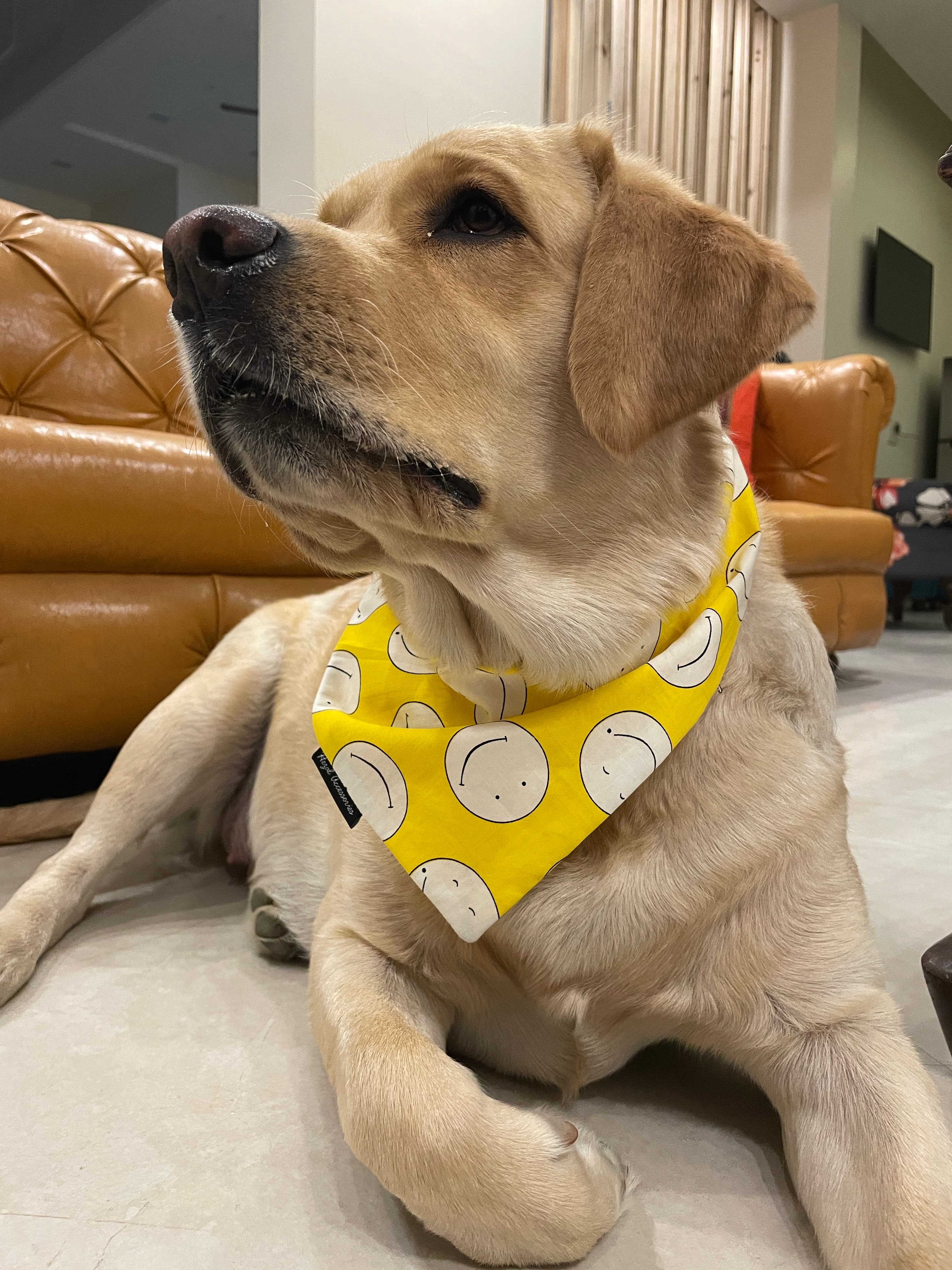 Good Vibes Only tie on Bandana