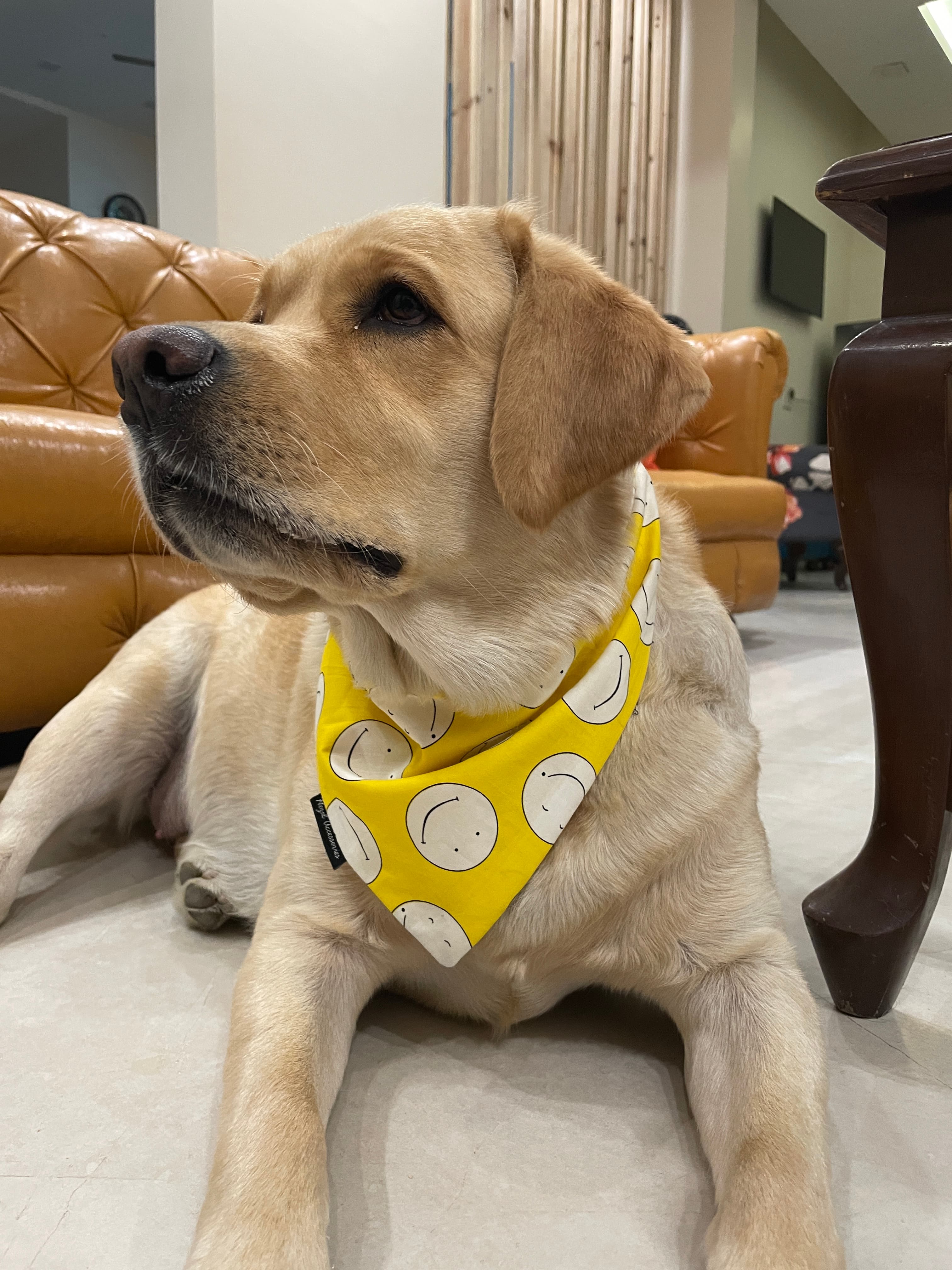 Good Vibes Only tie on Bandana image 2