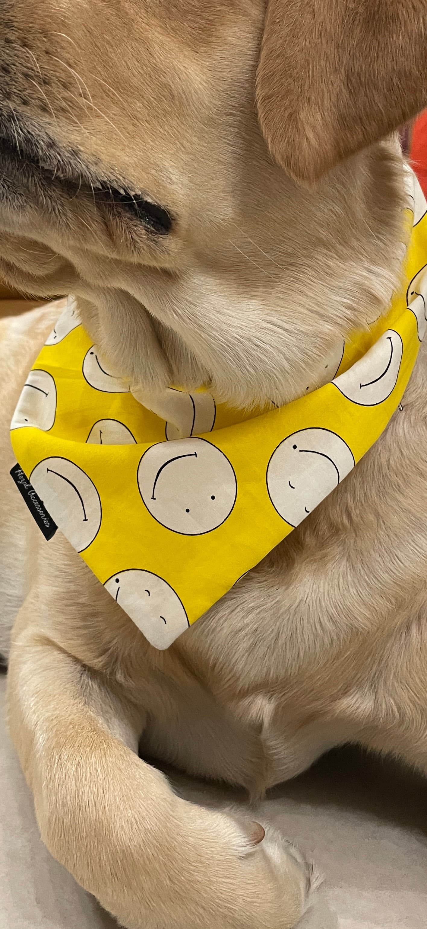 Good Vibes Only tie on Bandana image 4