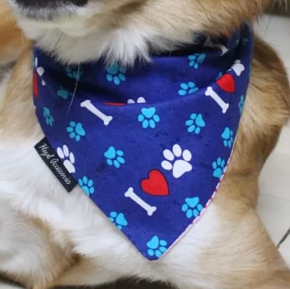 Paws & Love Bandana image 3