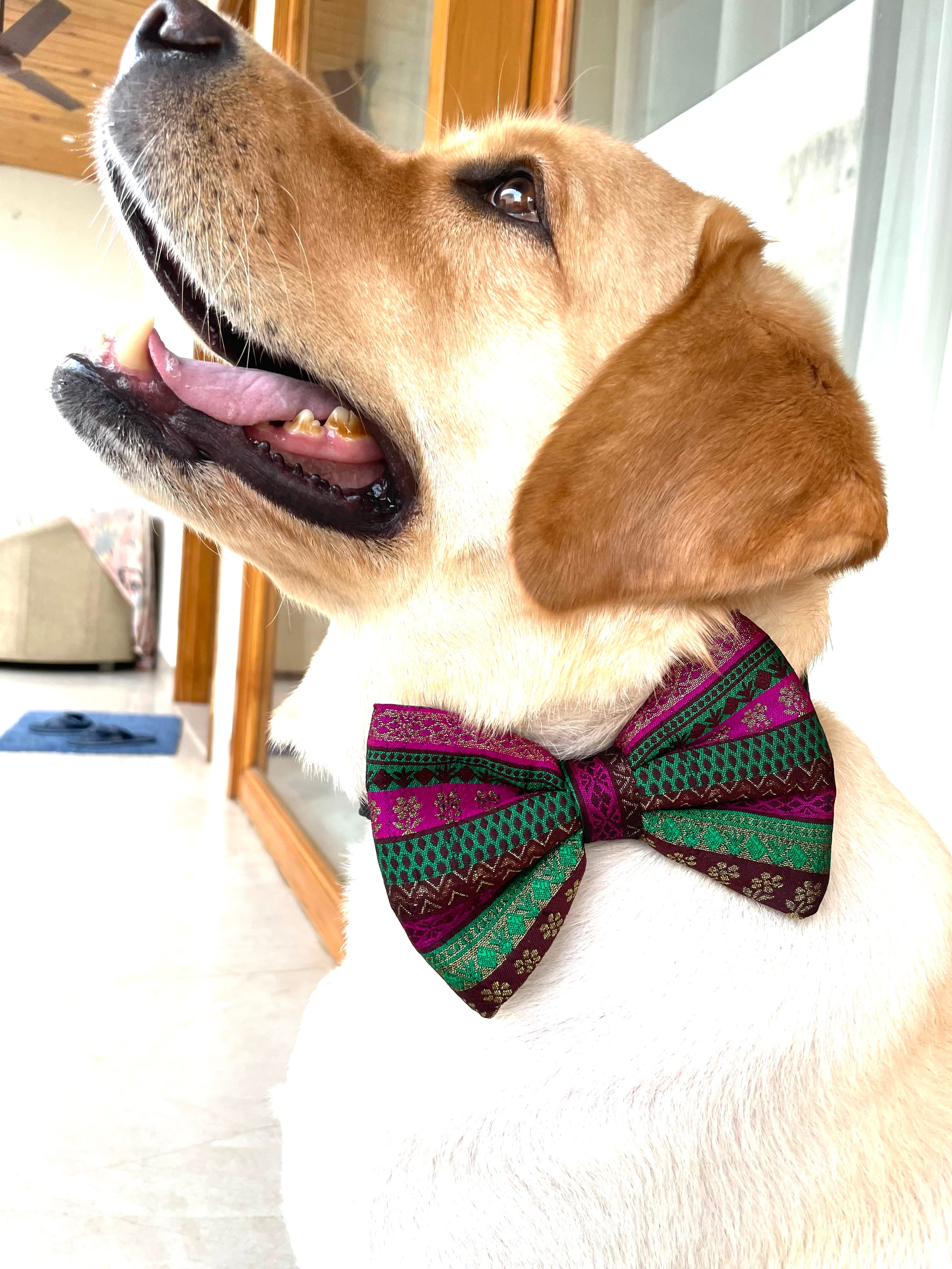 Regal Charm Bow Tie  image 3