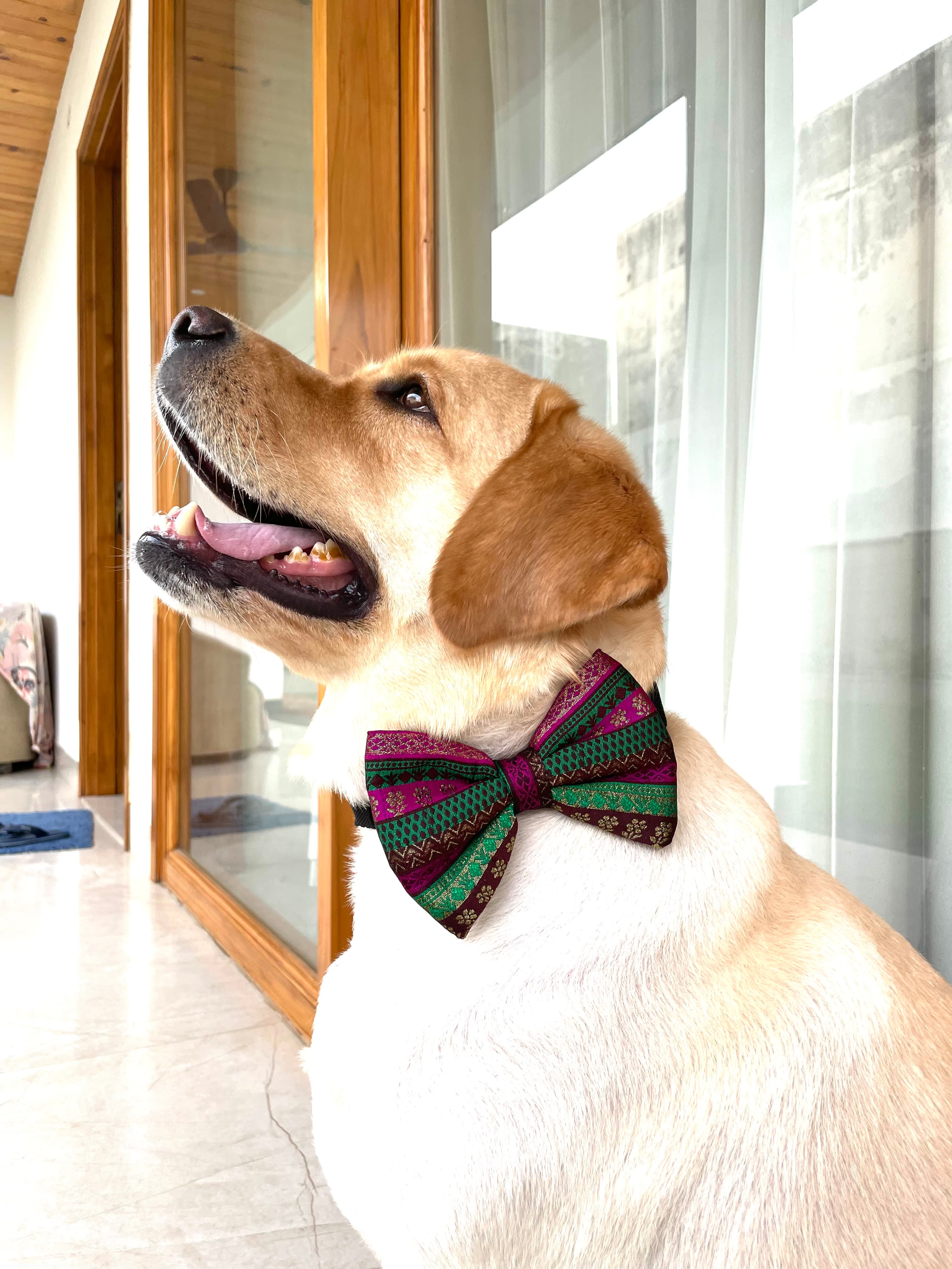 Regal Charm Bow Tie  image 2