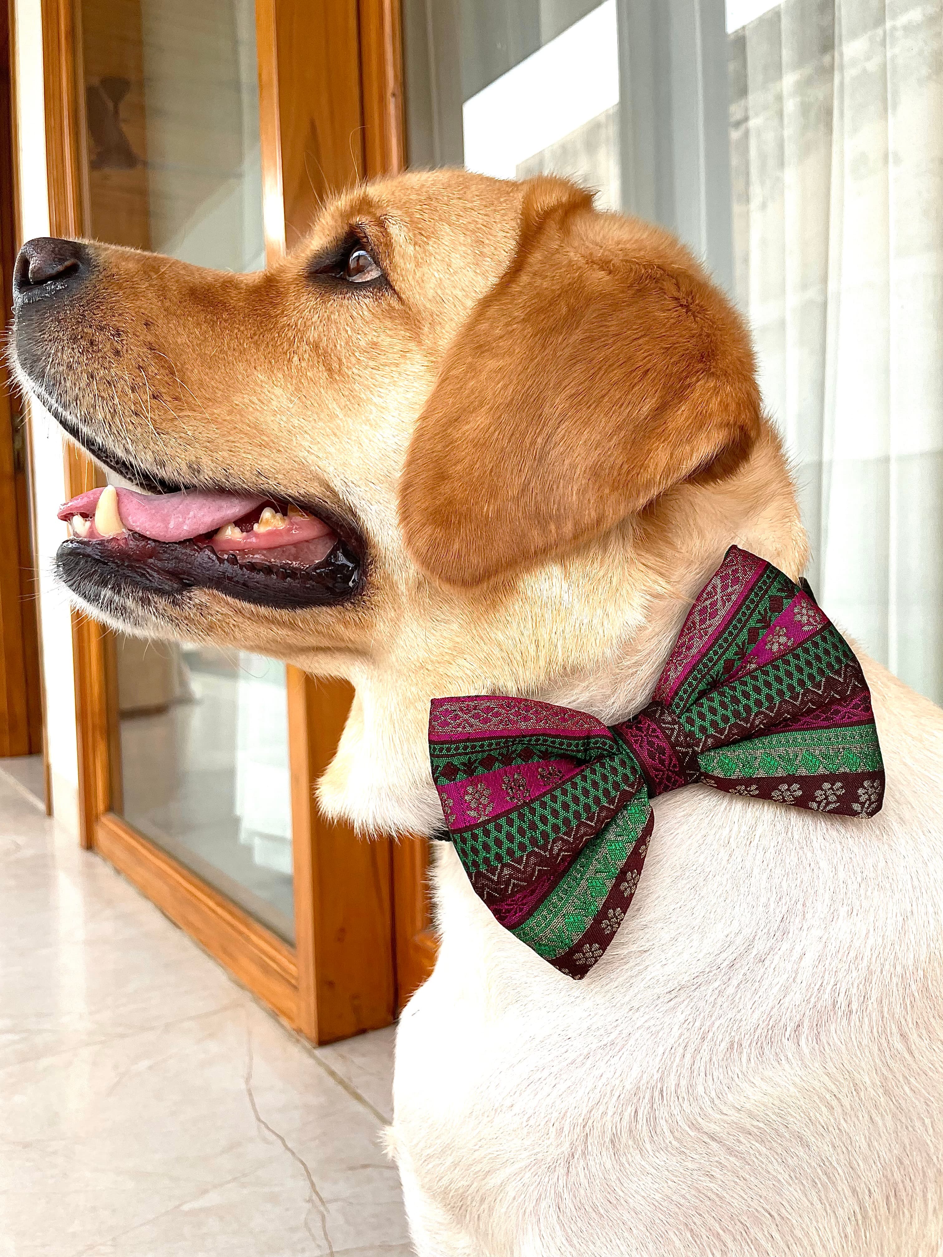 Regal Charm Bow Tie 