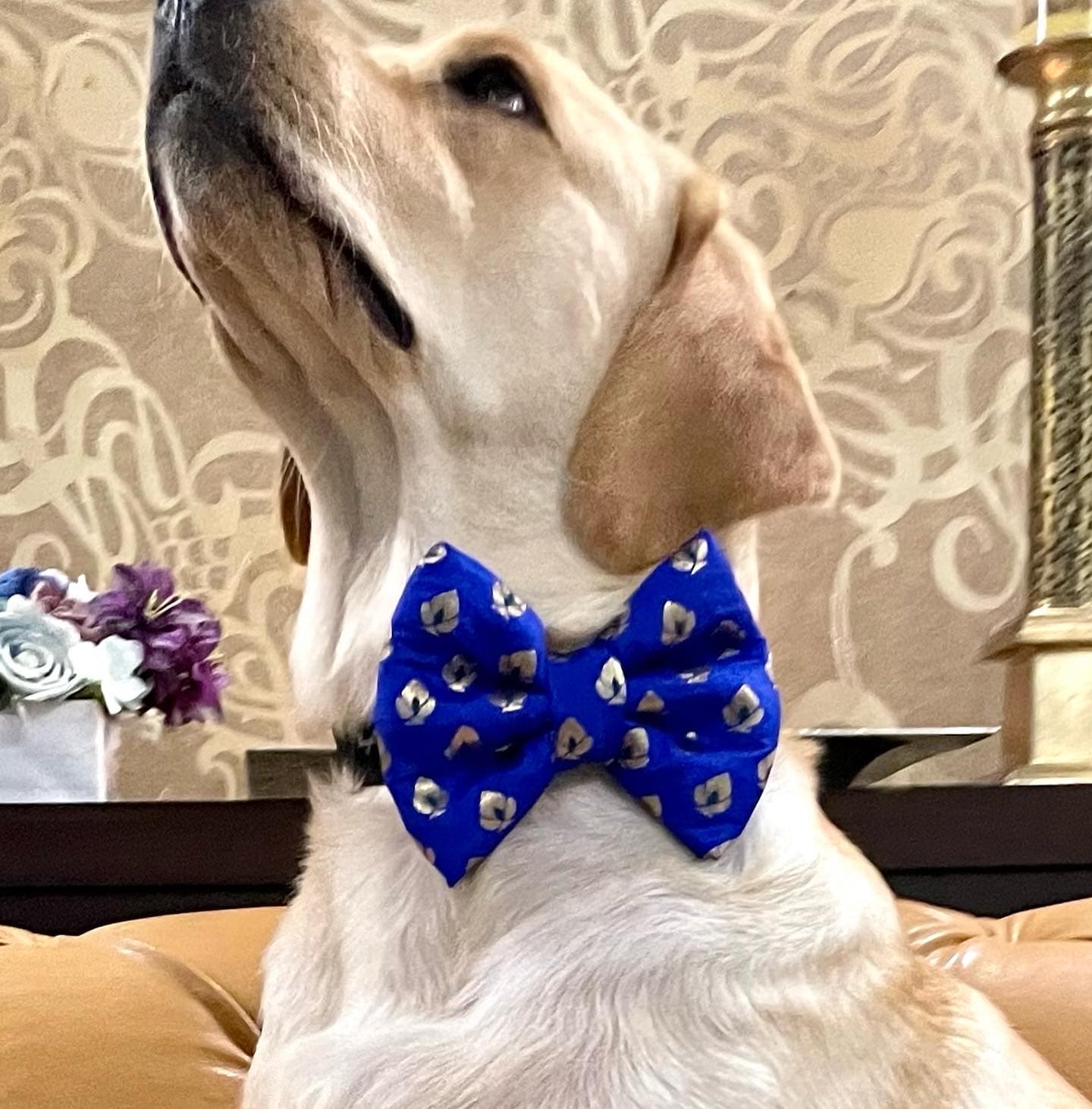 Sapphire Elegance Bow Tie 