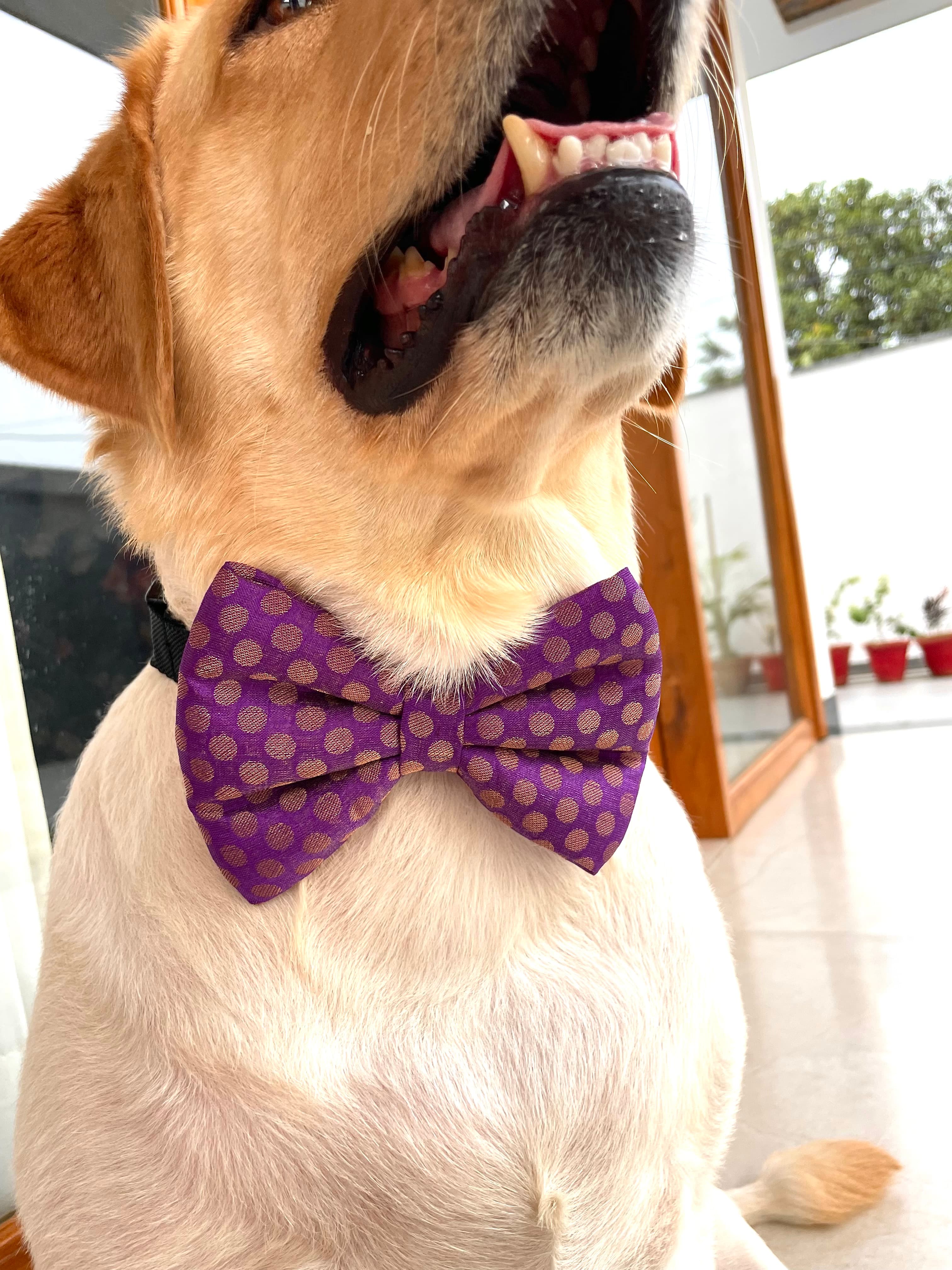 Royal plum silk bow tie  image 3