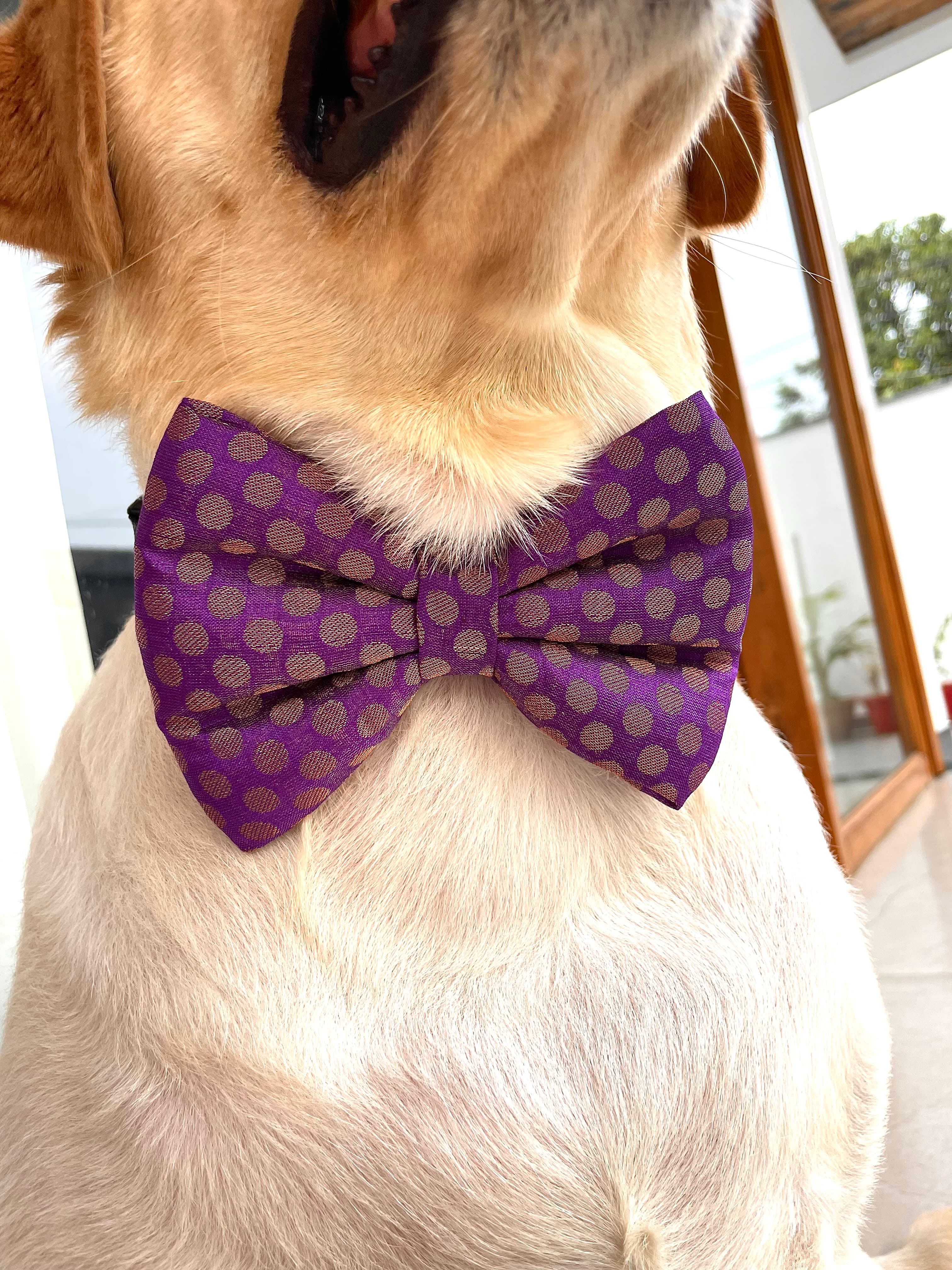 Royal plum silk bow tie 