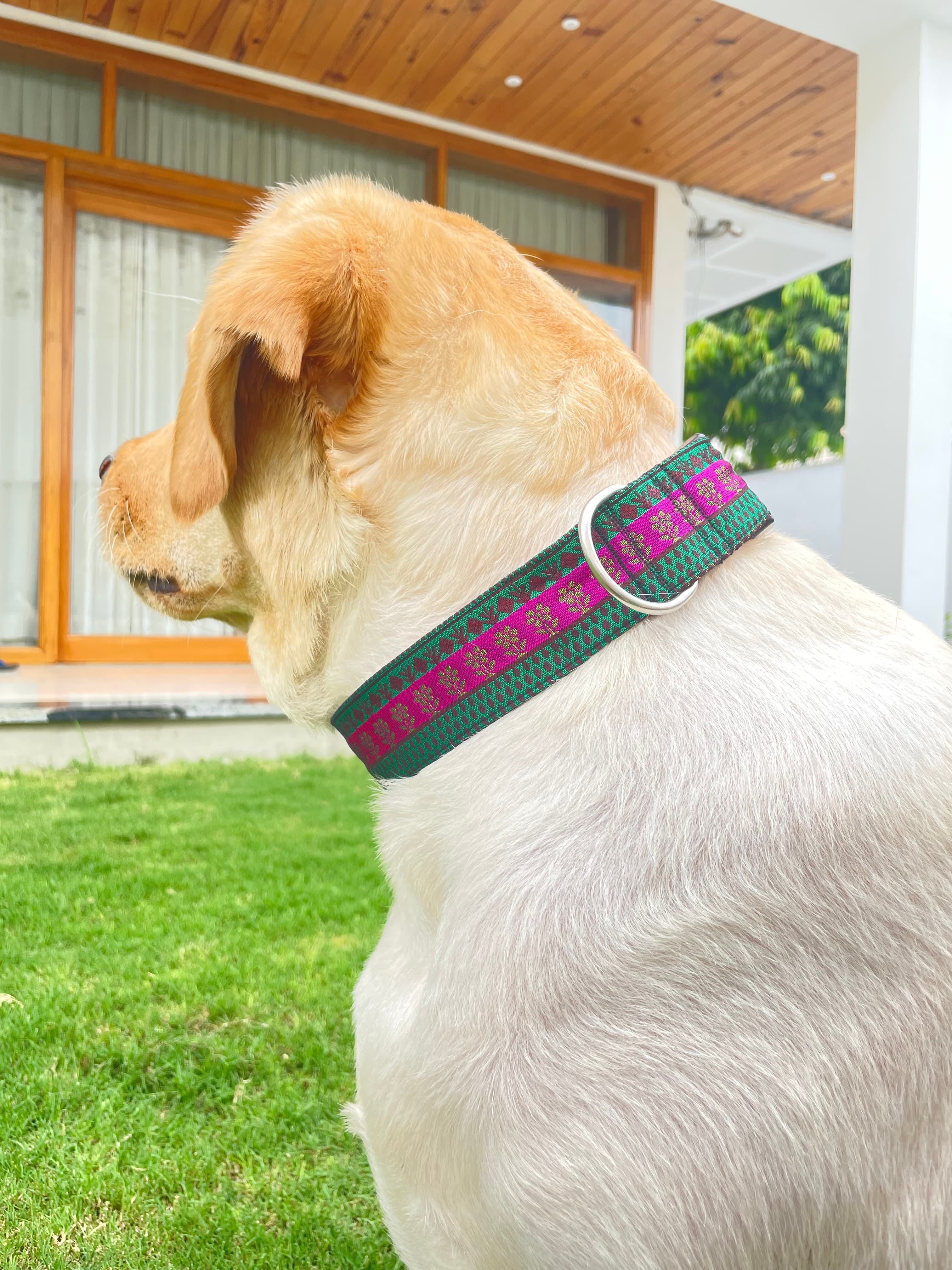 Regal glam Festive Collar 