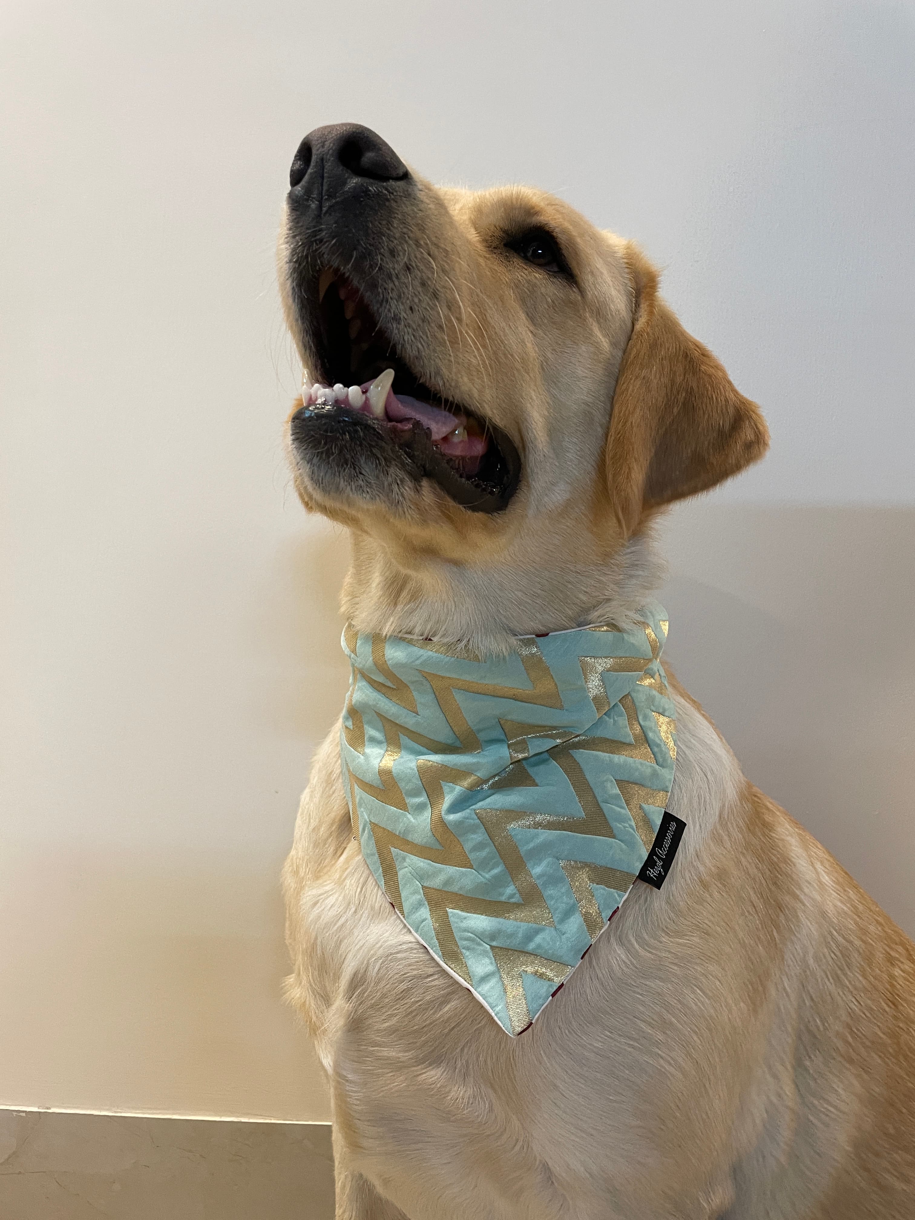 Aqua Royale tie on Bandana