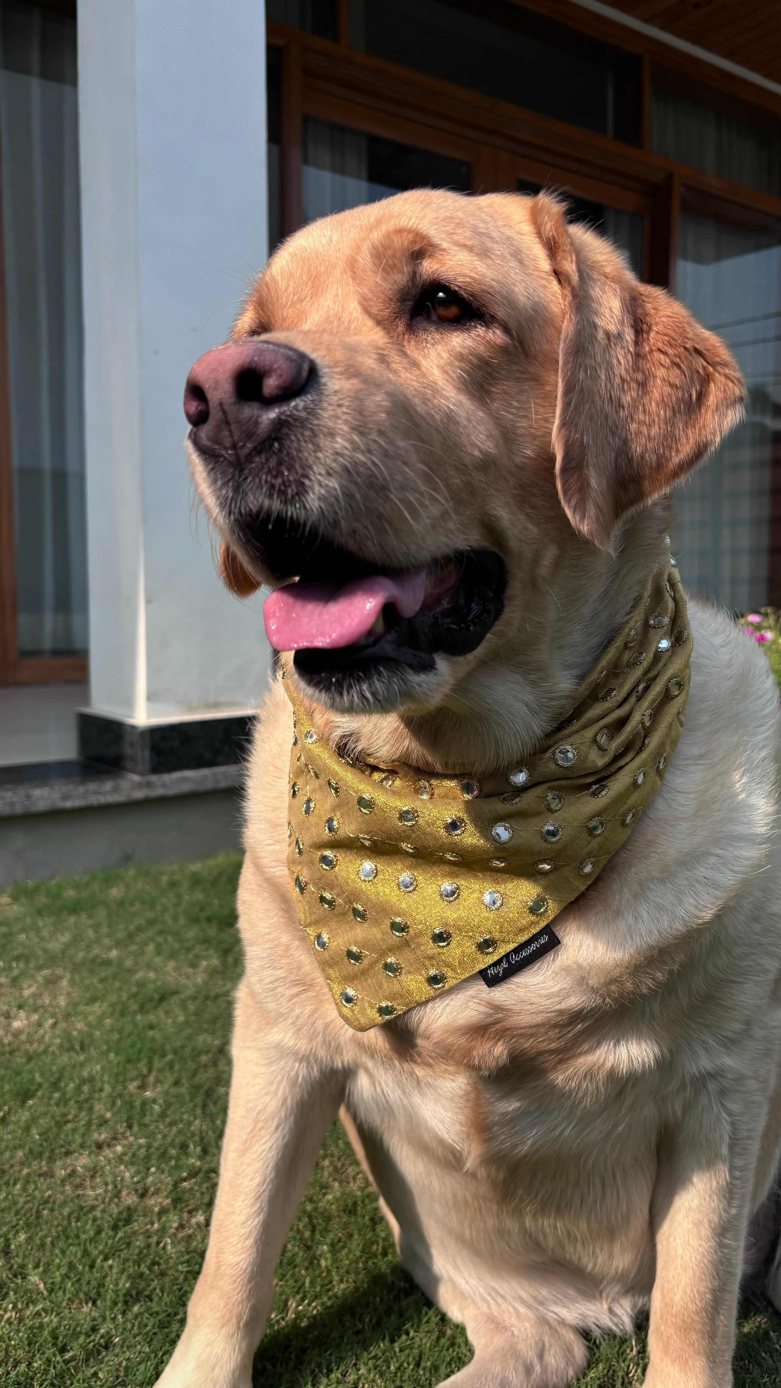 Golden Glow Mirror Bandana 