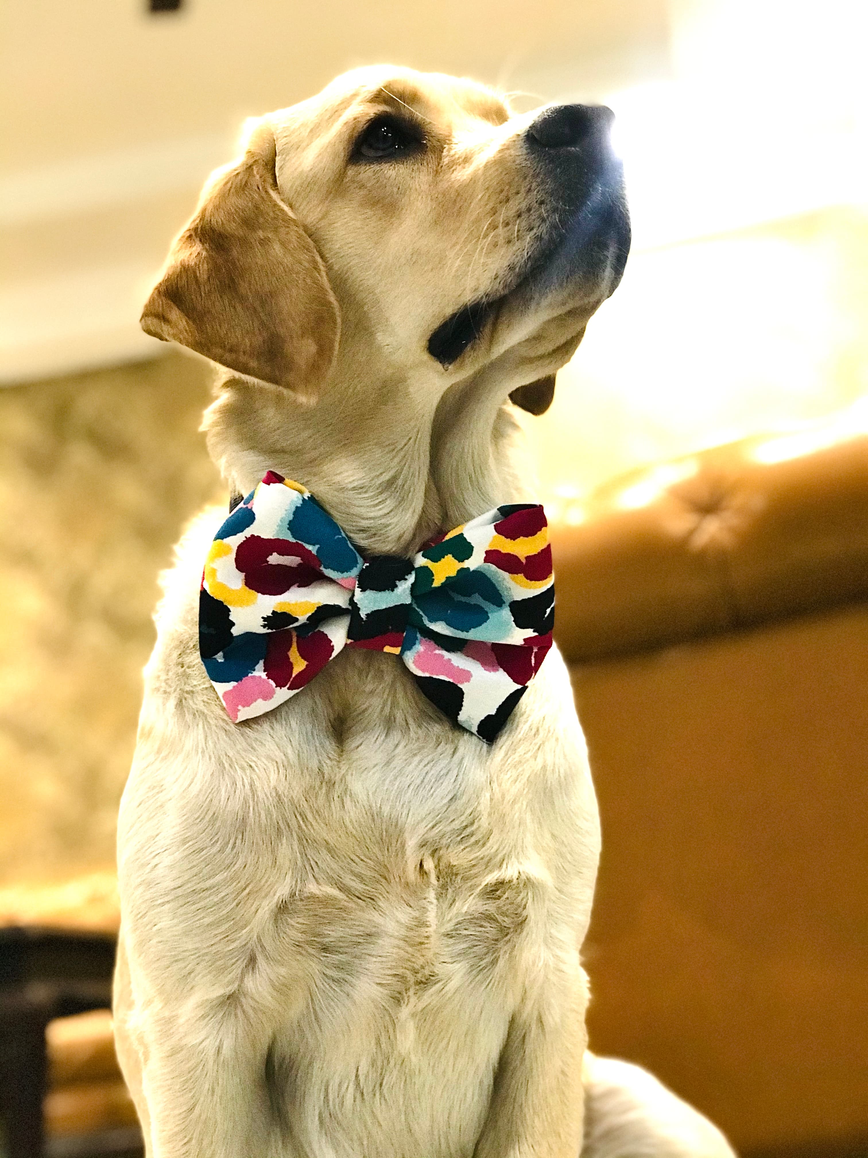 Artsy Pop Bow Tie  image 2