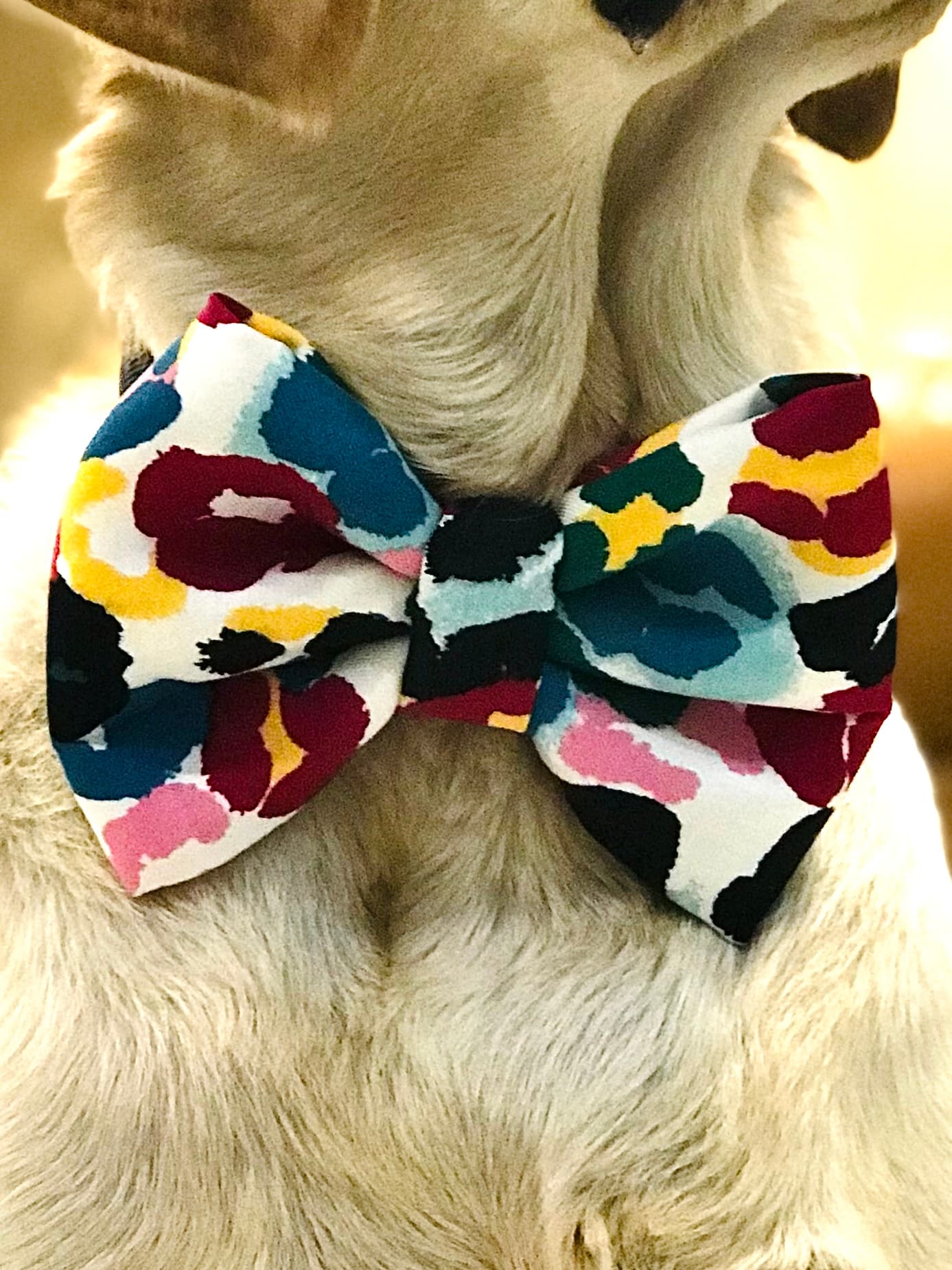 Artsy Pop Bow Tie 