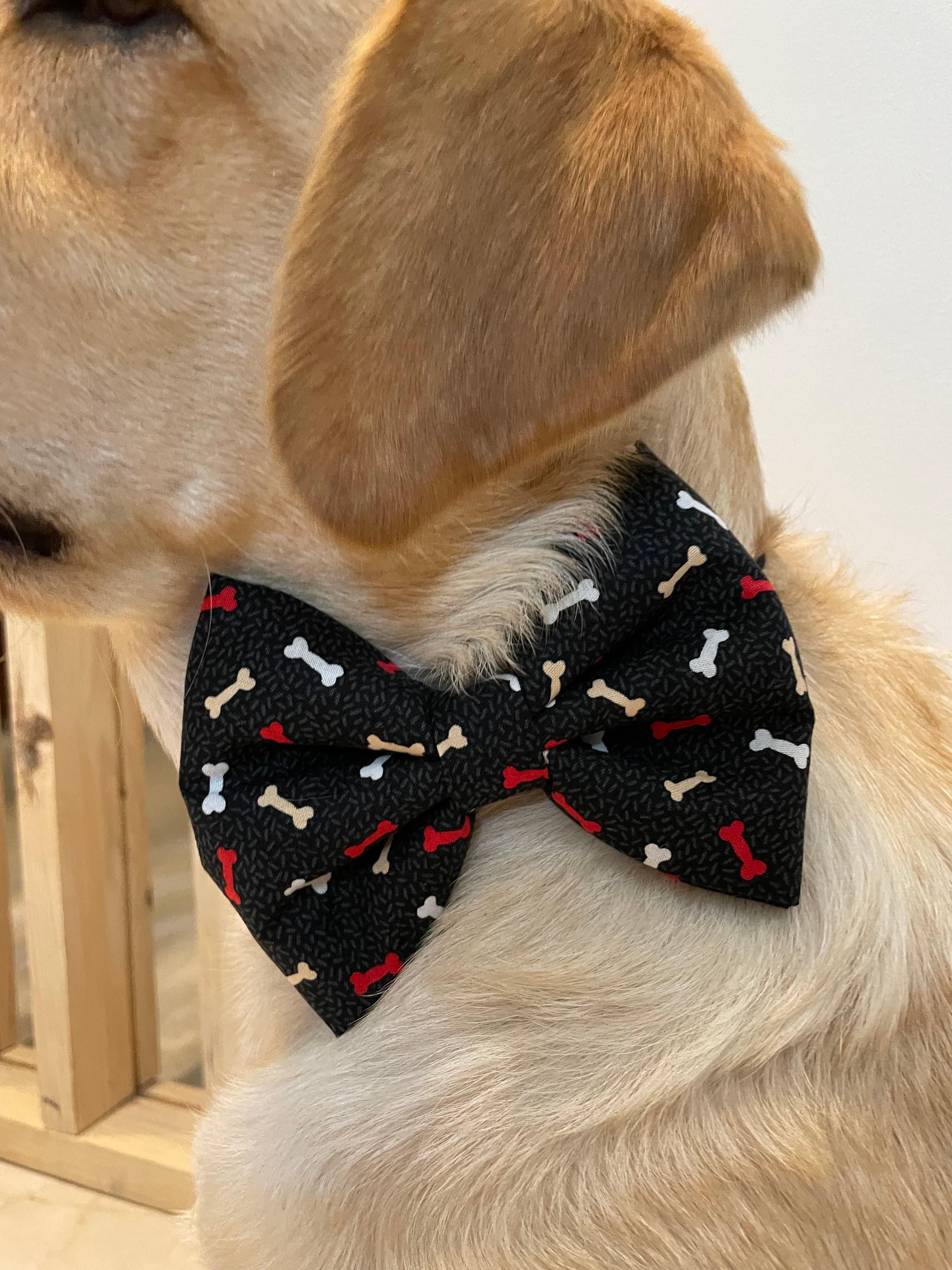 Bone-Appétit Bow Tie image 4