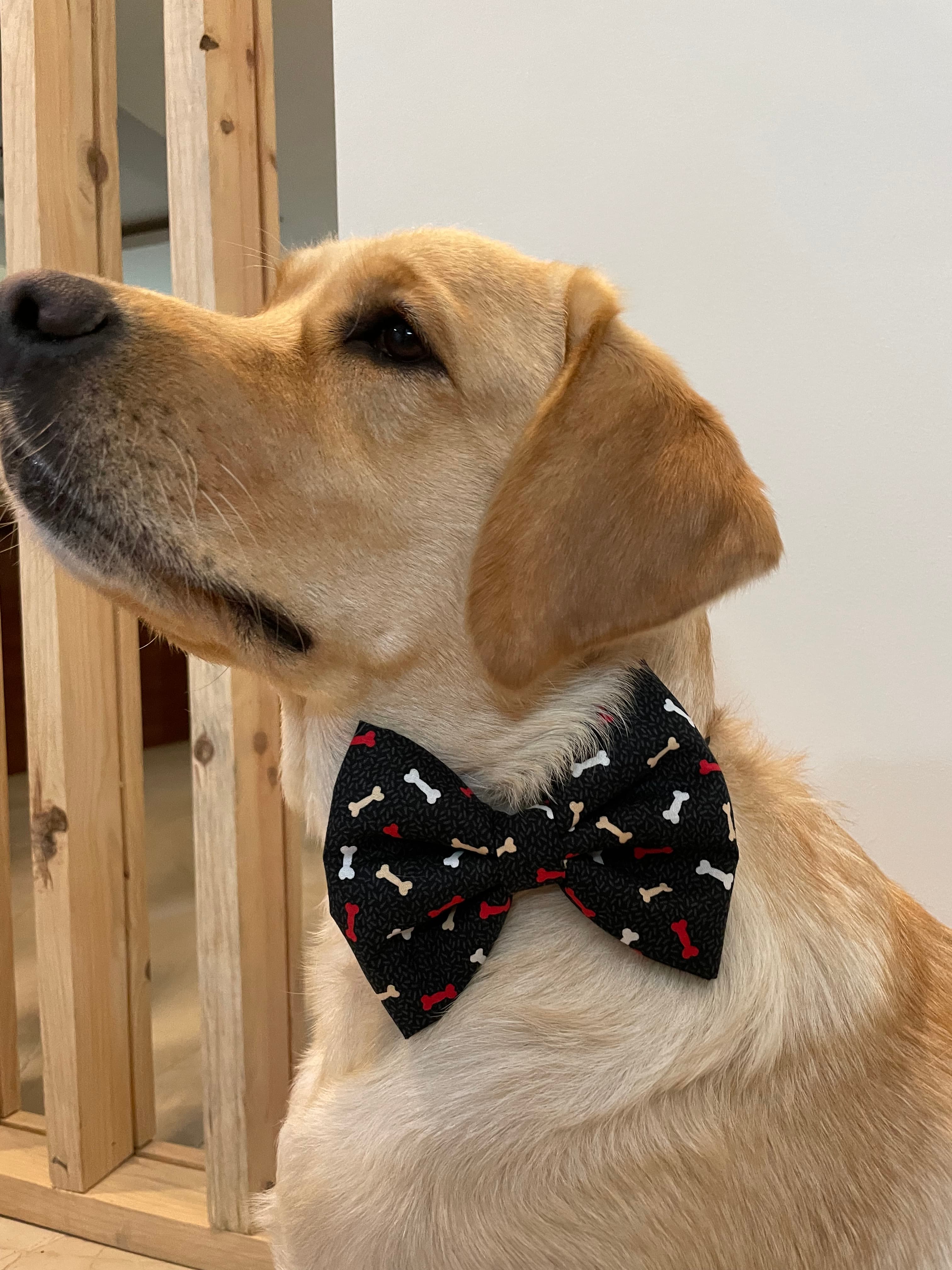 Bone-Appétit Bow Tie image 2