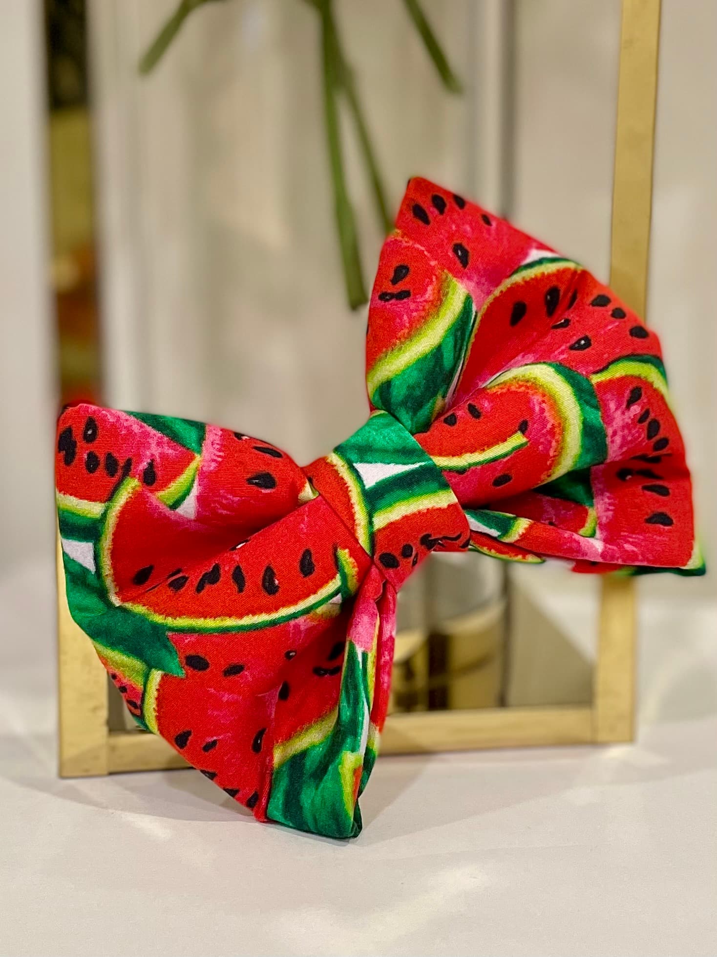 Watermelon Crush Bow Tie 