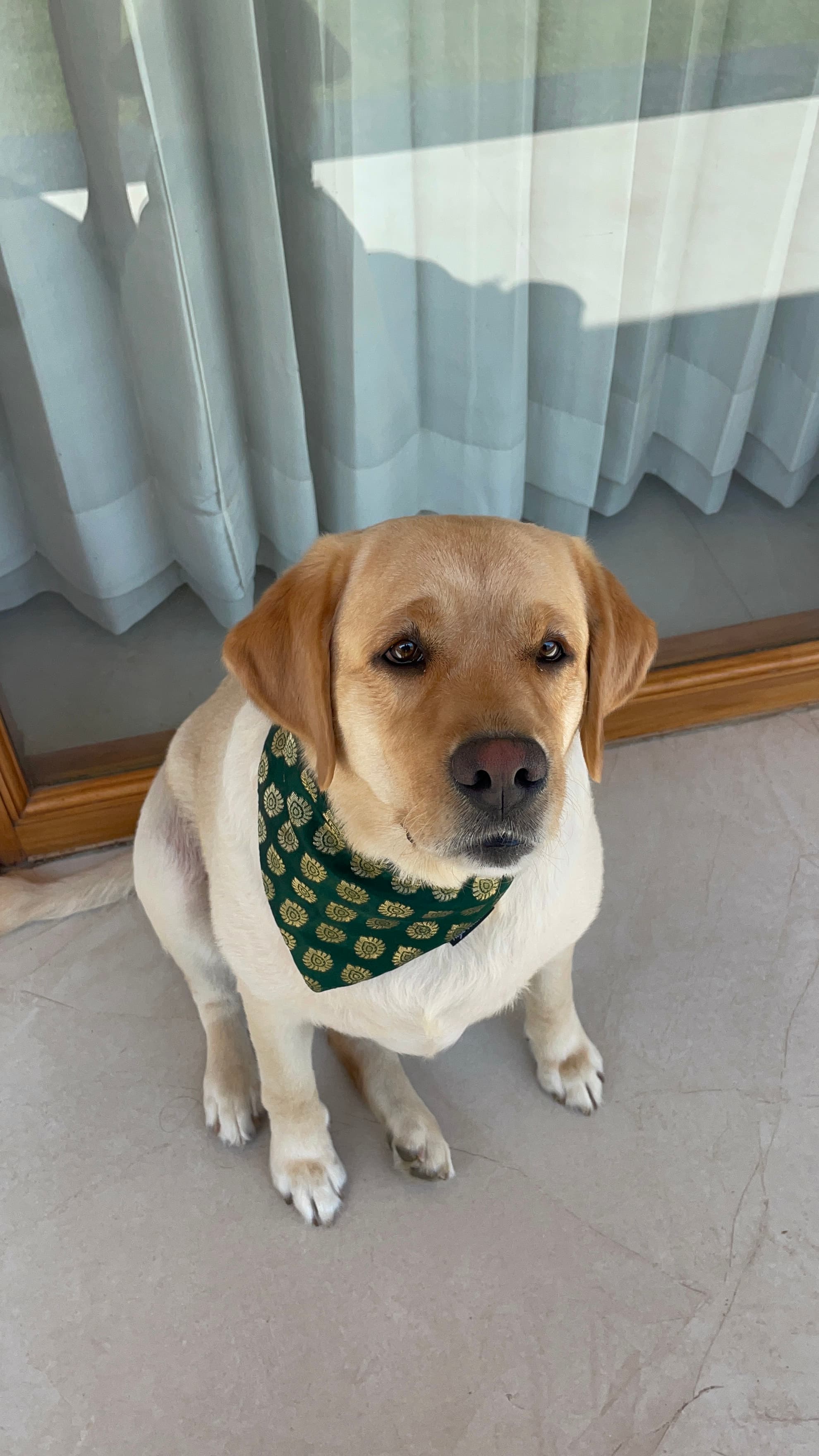 Royal Emerald tie on Bandana  image 3