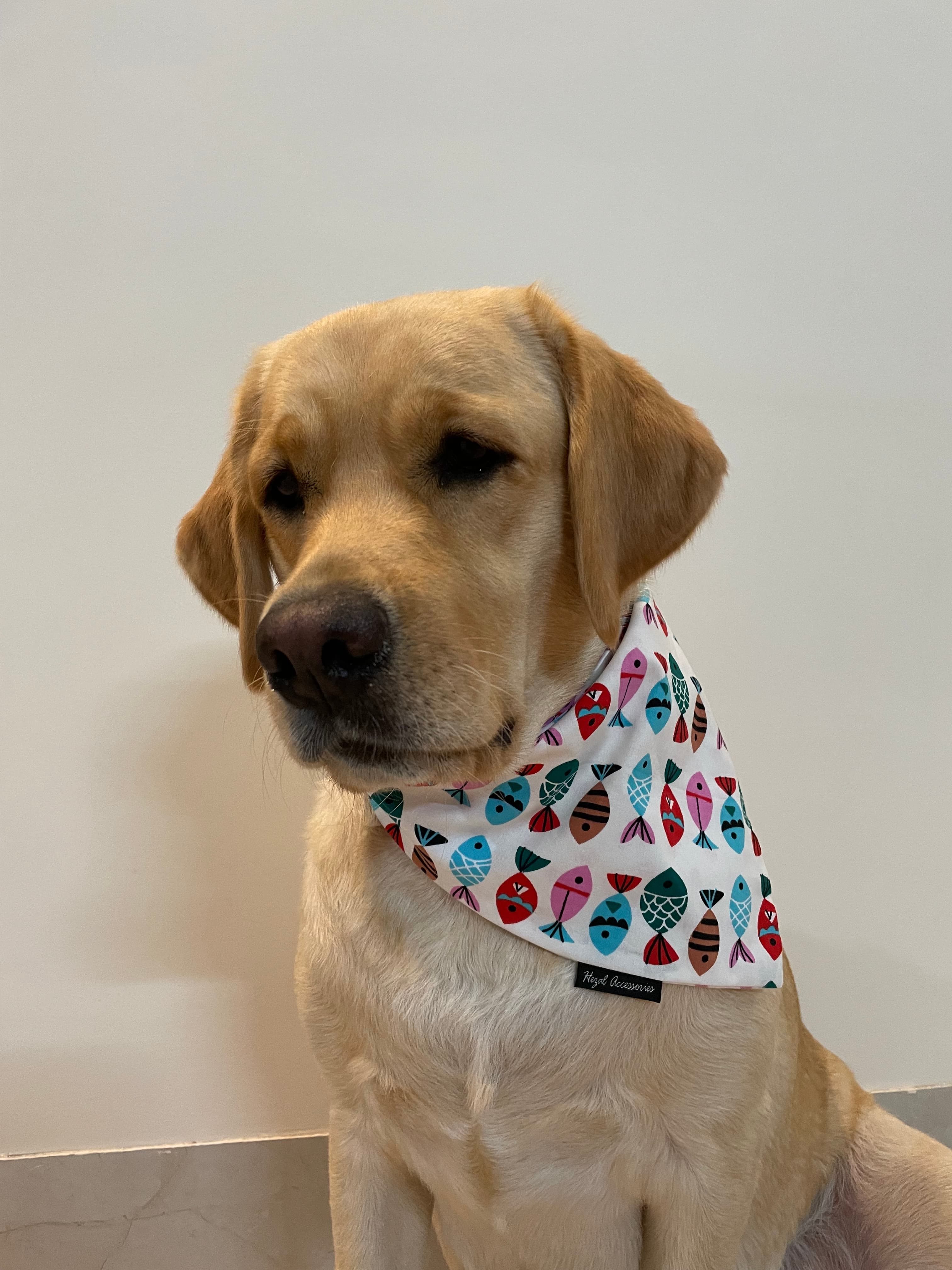 Fin-Tastic Fun Bandana  image 2