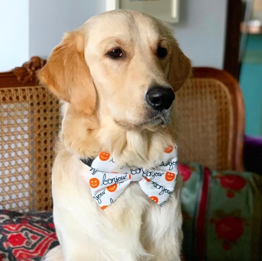 Bonjour Smiley Bow Tie