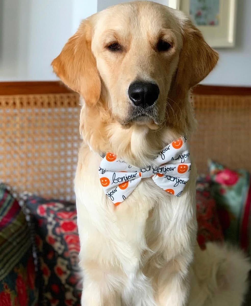 Bonjour Smiley Bow Tie image 2