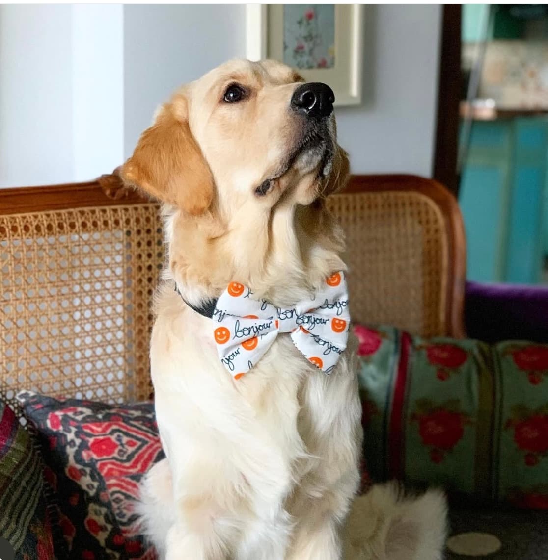 Bonjour Smiley Bow Tie image 3
