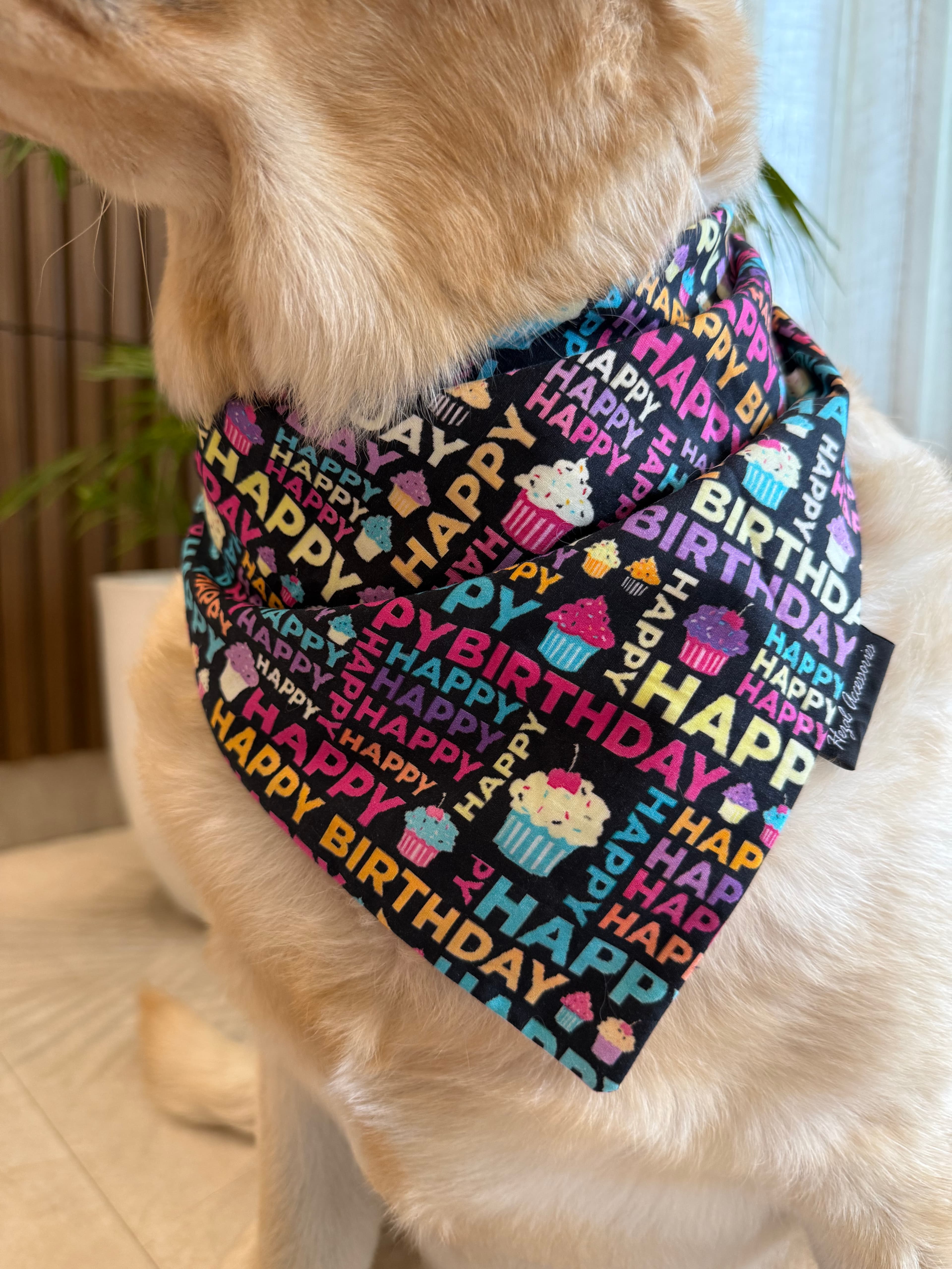 Birthday Pawty tie on Bandana image 4