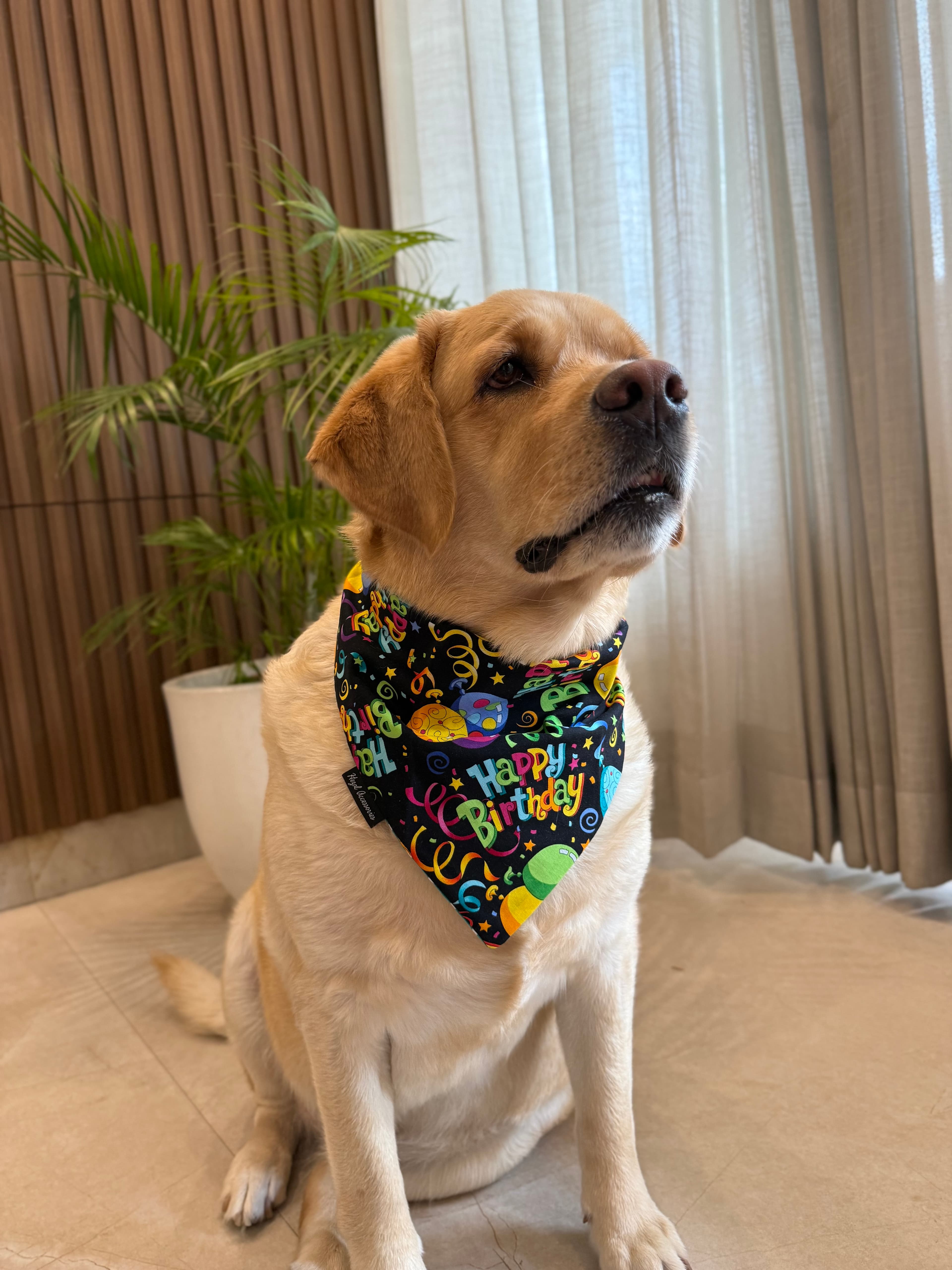 Hooray! It’s My Day tie on Bandana image 2