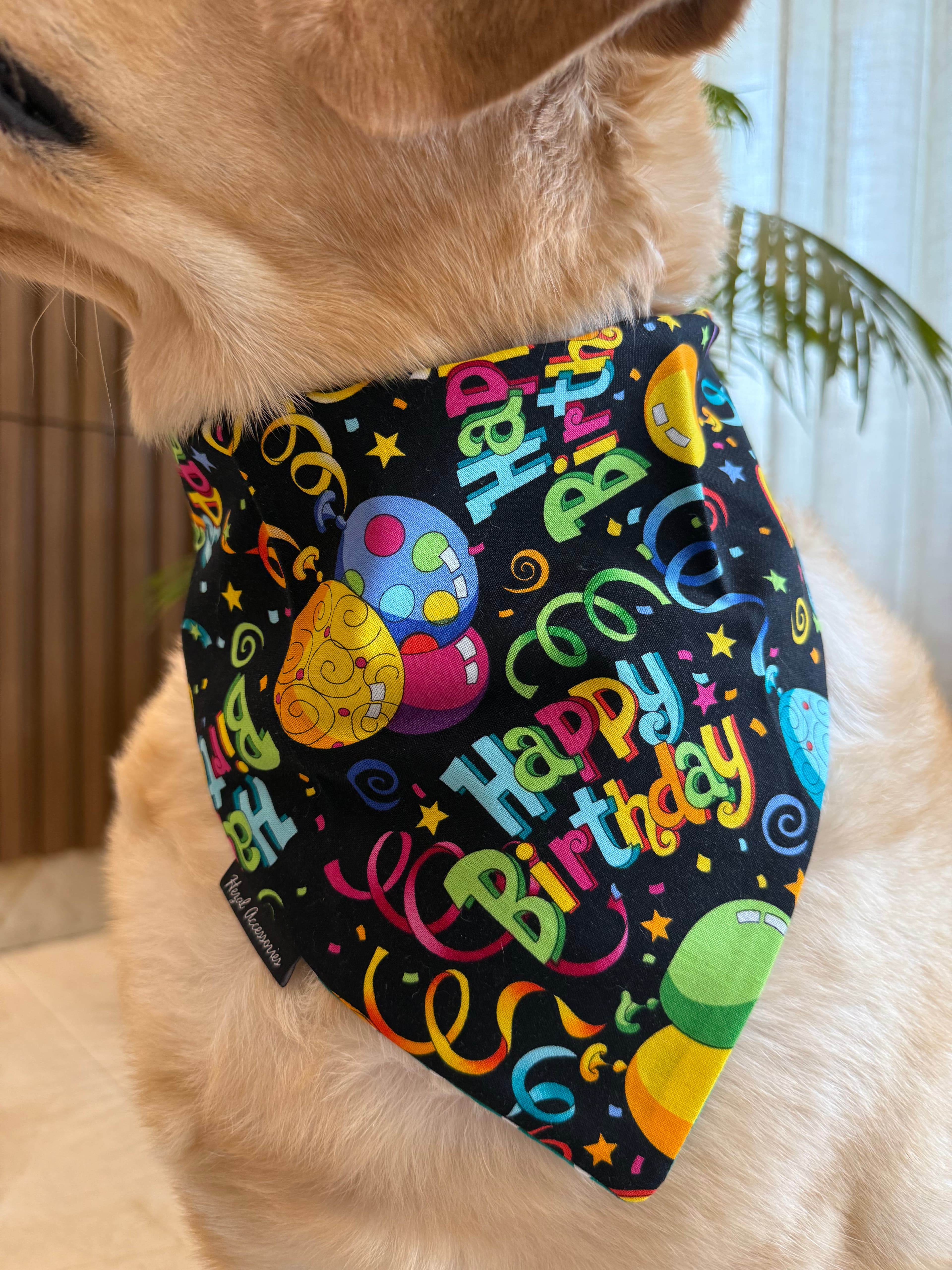 Hooray! It’s My Day tie on Bandana image 3
