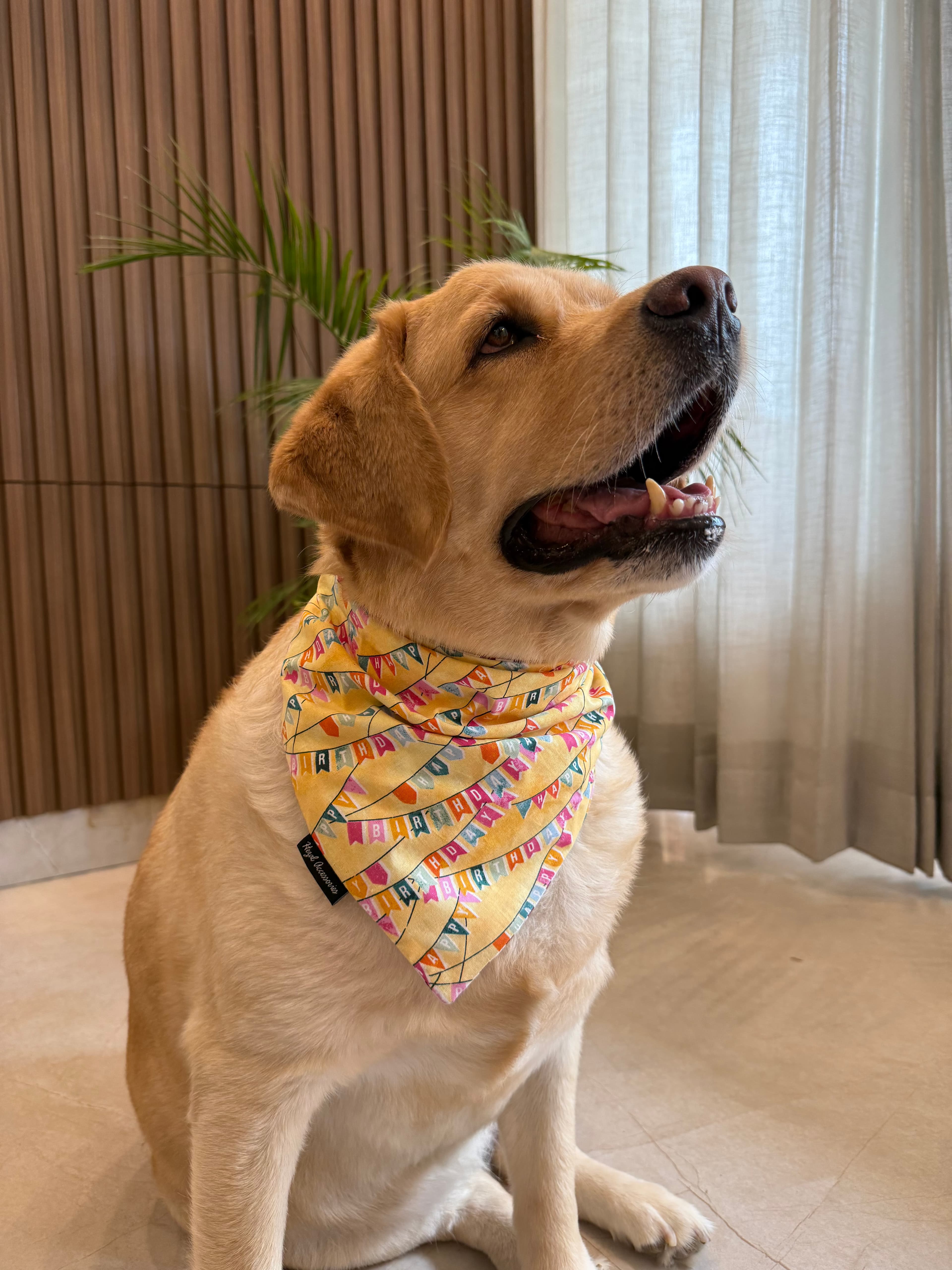 Birthday Bunting Bliss tie on Bandana