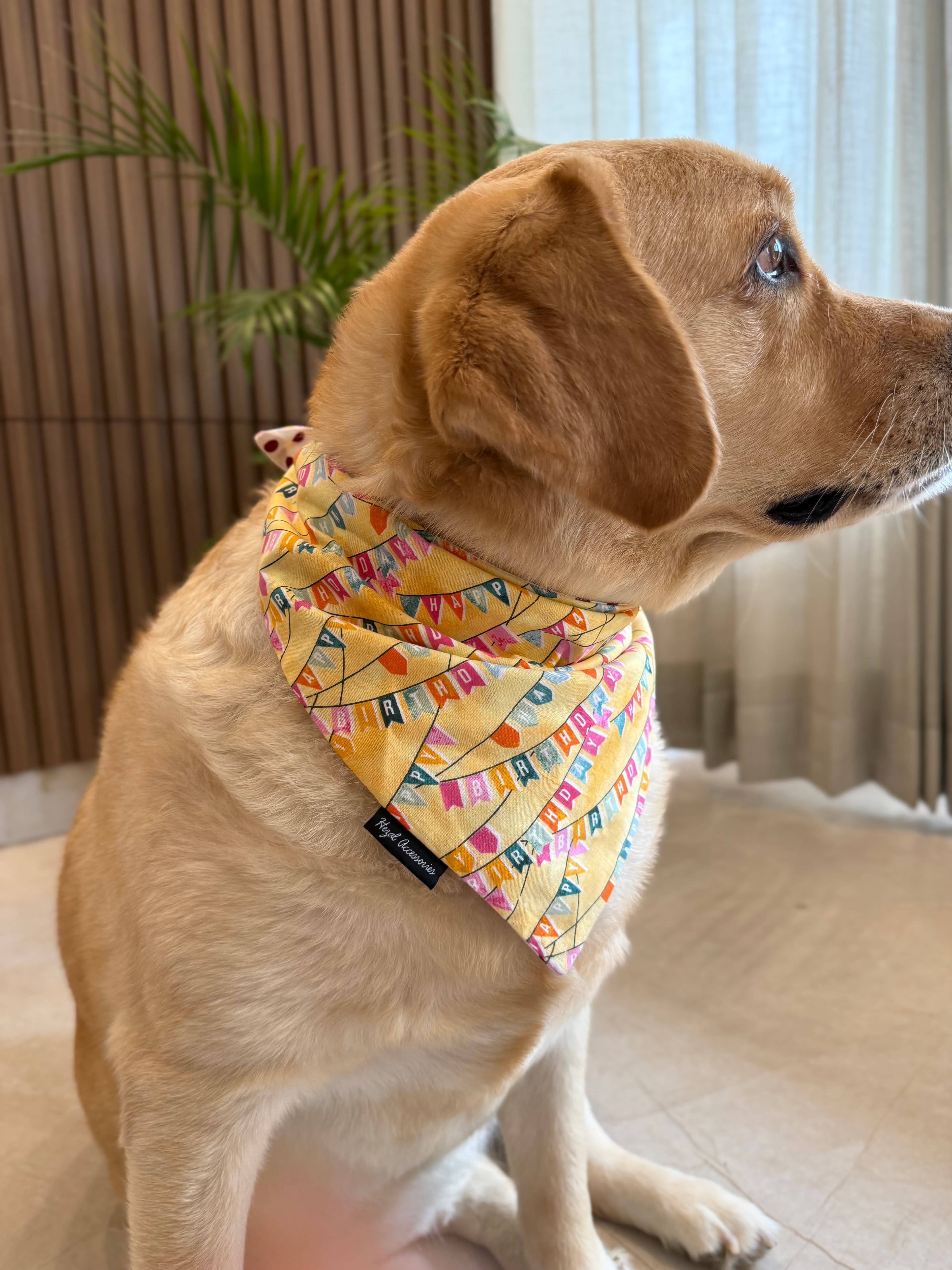 Birthday Bunting Bliss tie on Bandana image 3