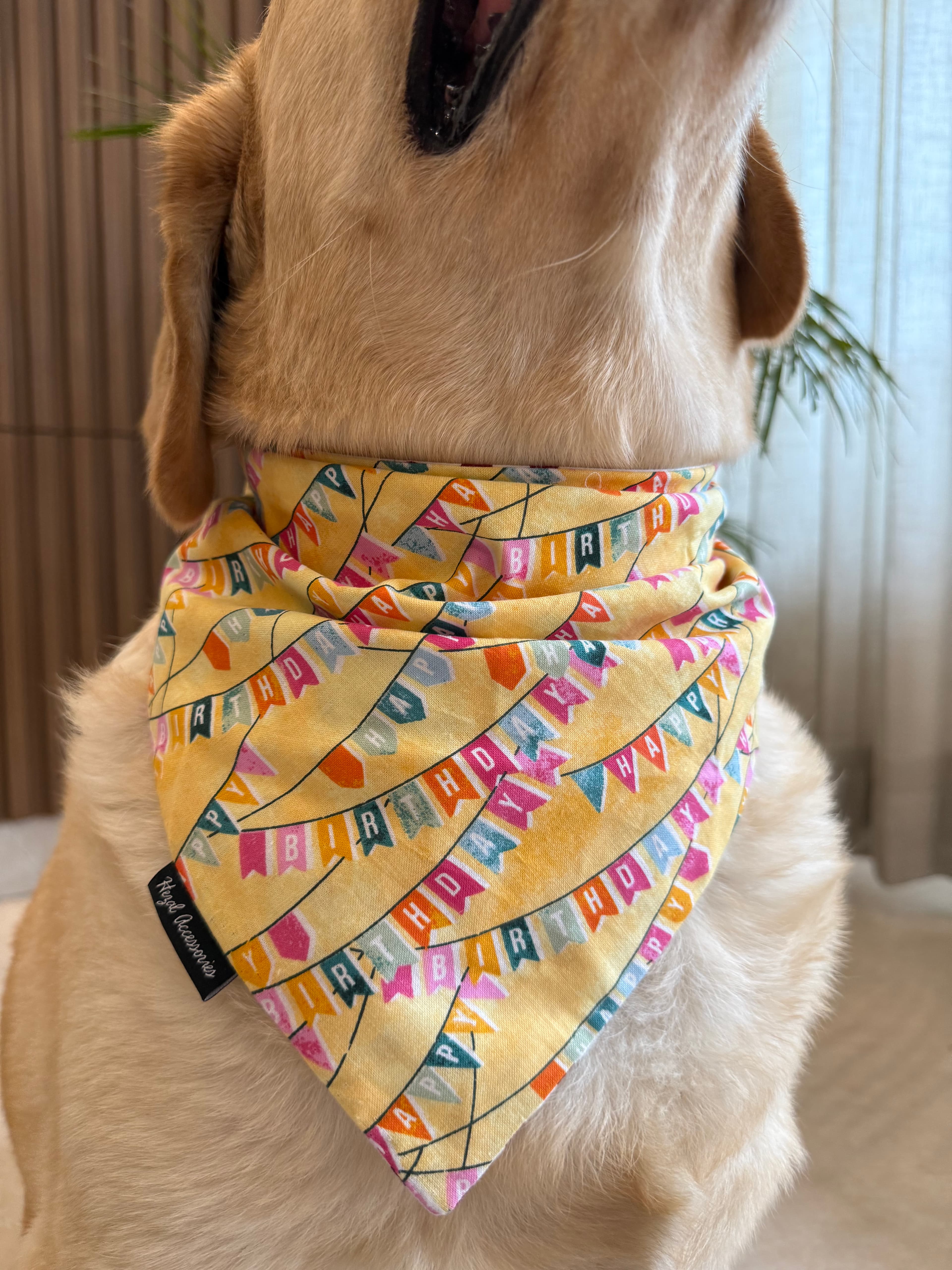 Birthday Bunting Bliss tie on Bandana image 4
