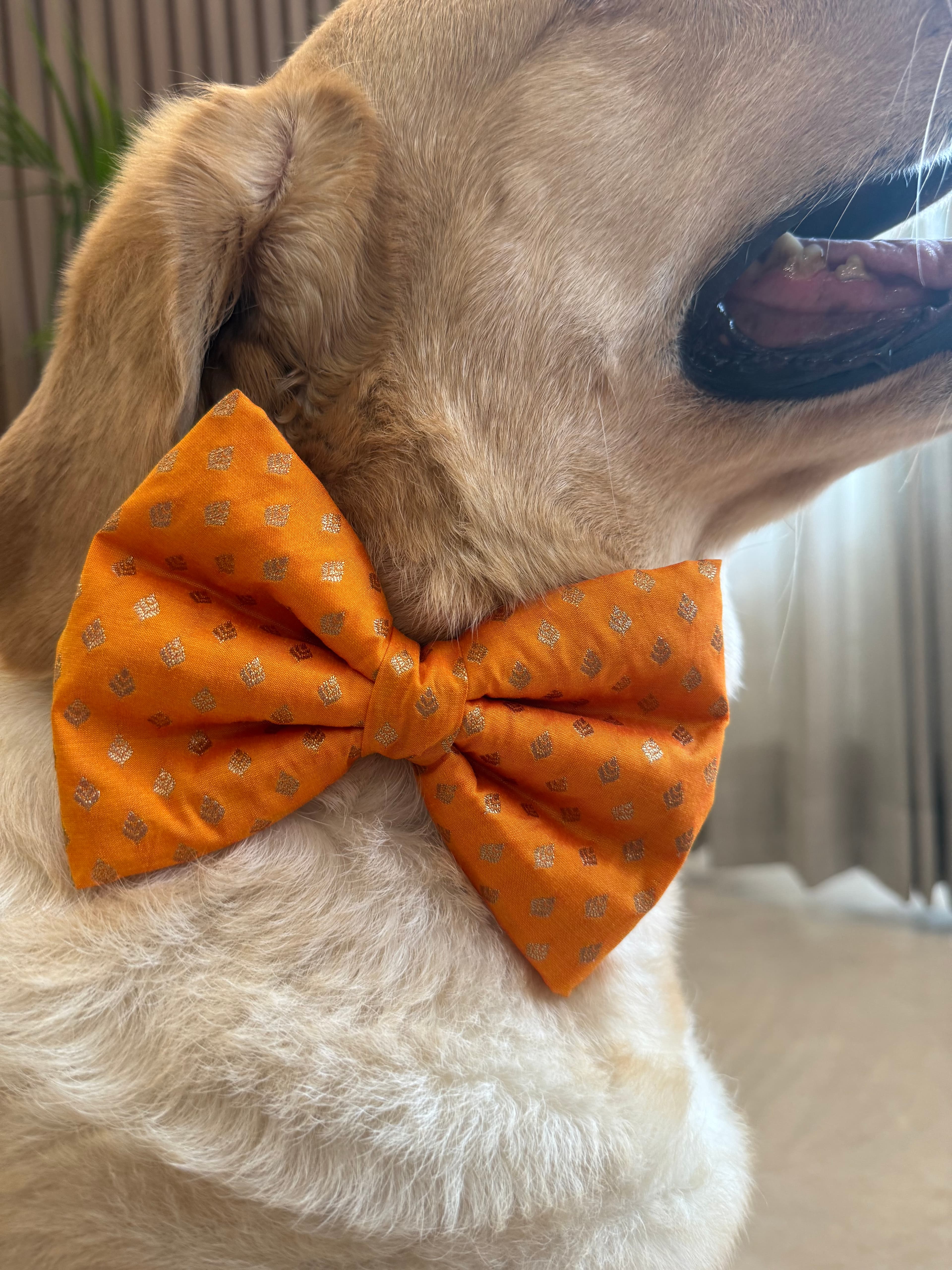 Golden Glow Festive Bow Tie image 5