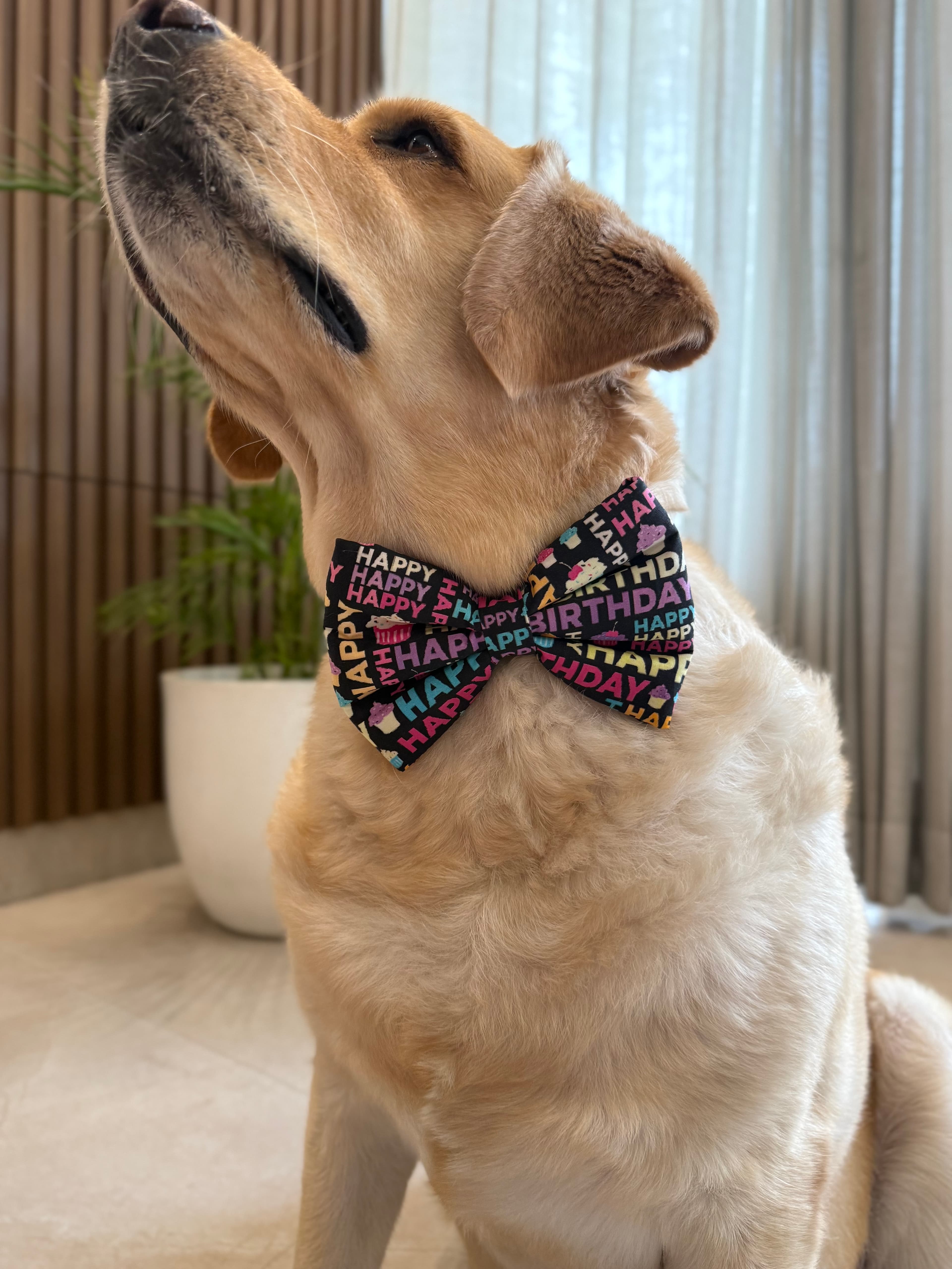 Cupcake Birthday Bow Tie image 2