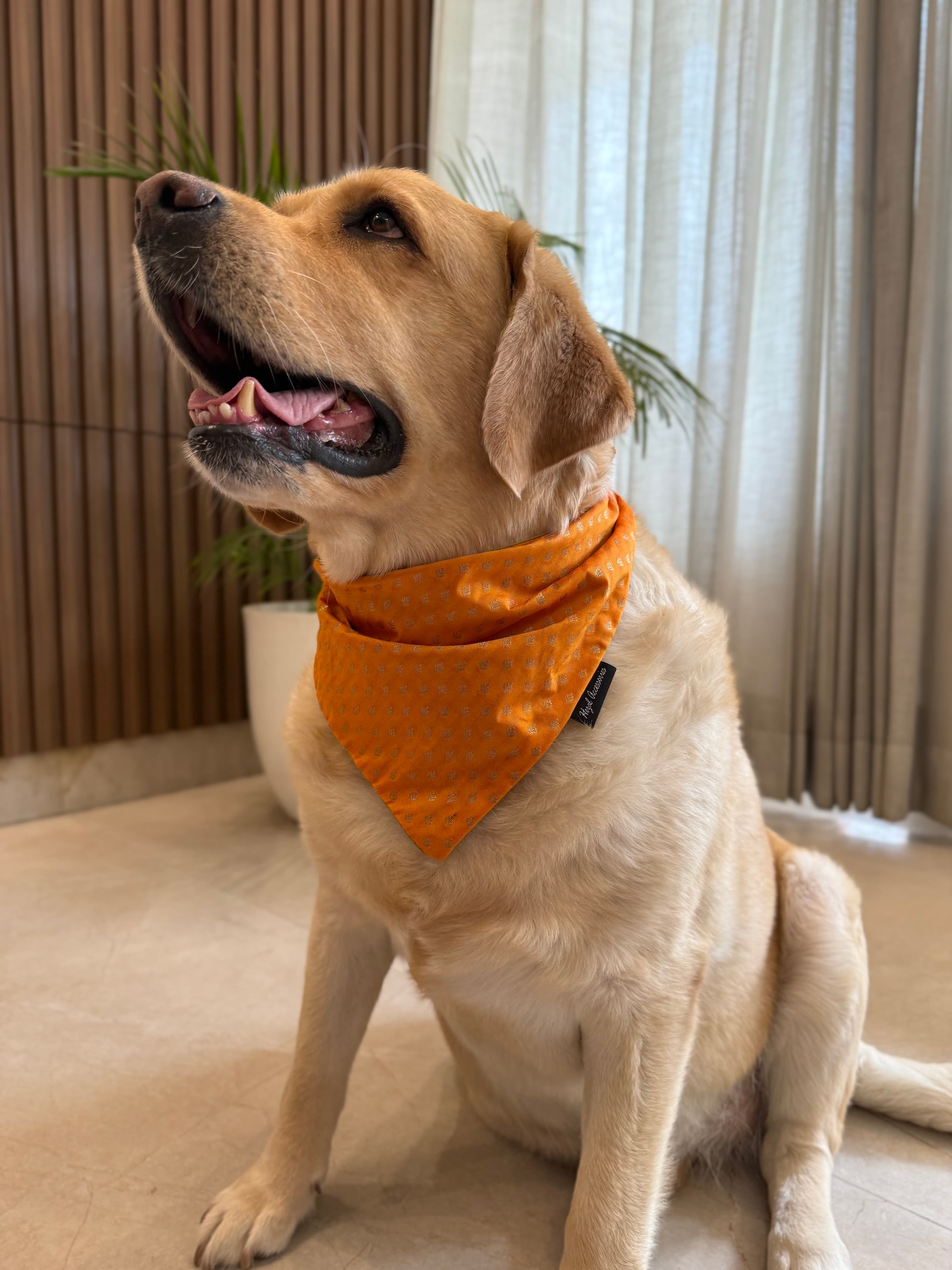 Festive Glow Bandana image 3