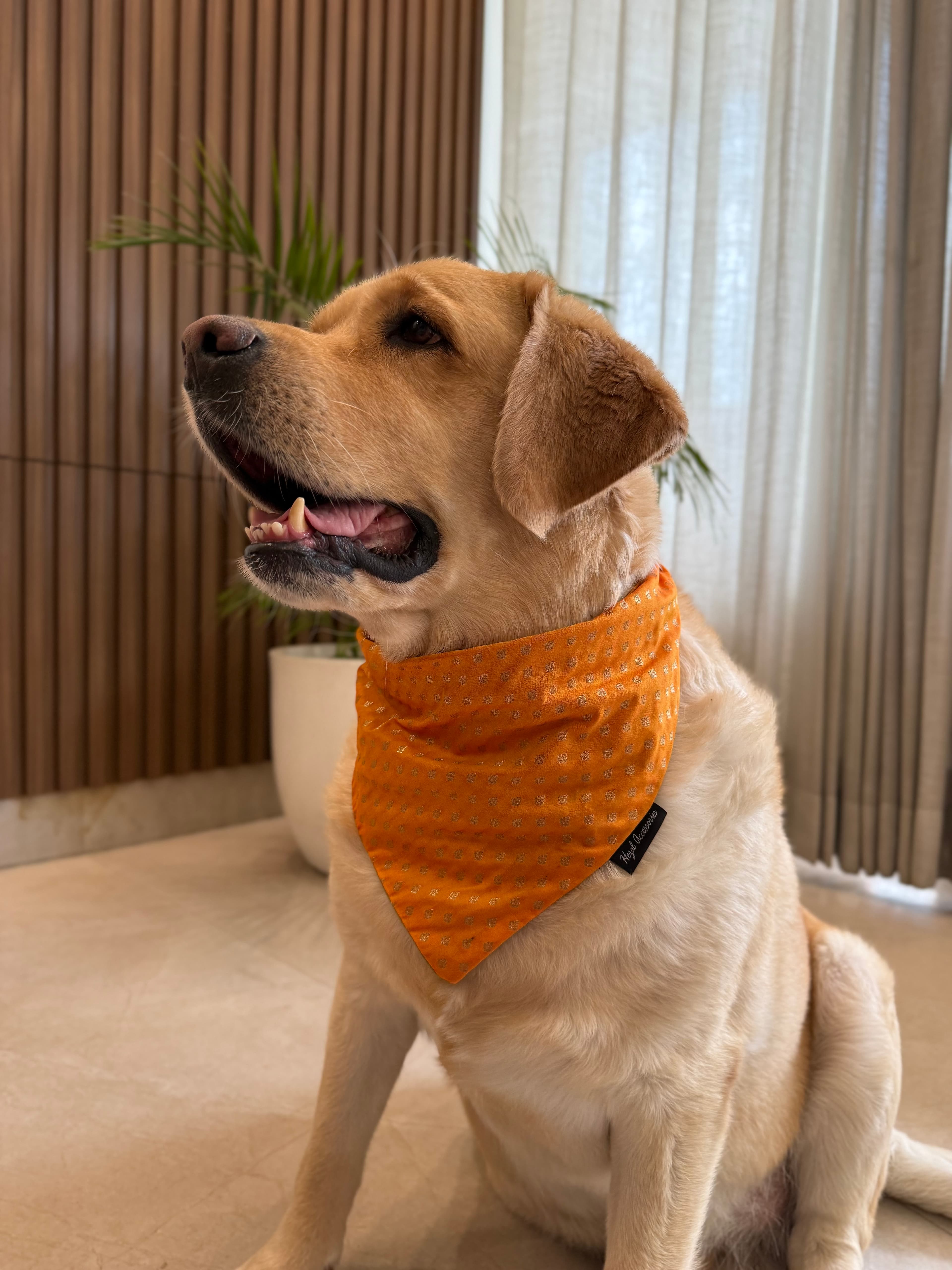 Festive Glow Bandana image 2