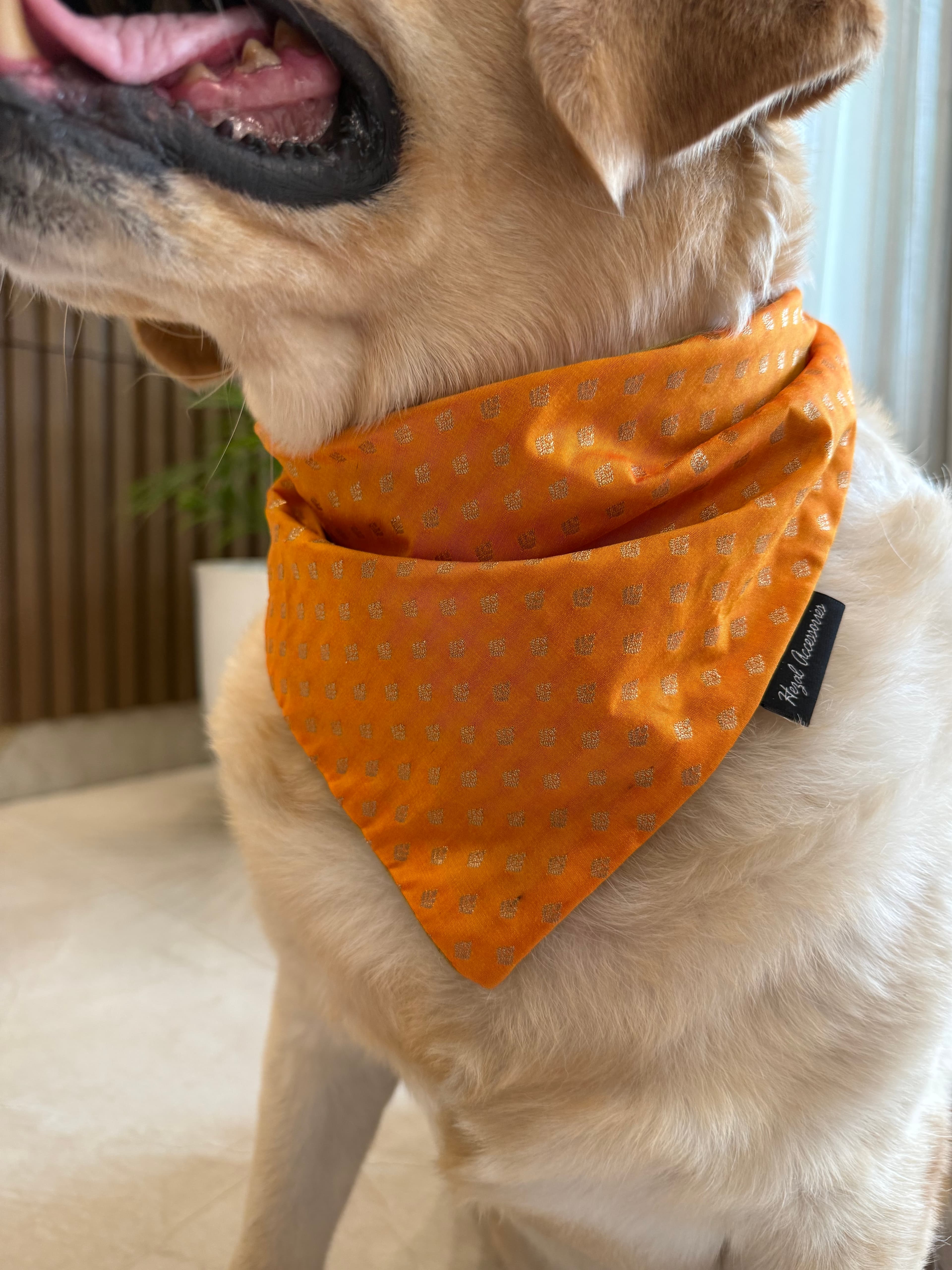 Festive Glow Bandana image 4