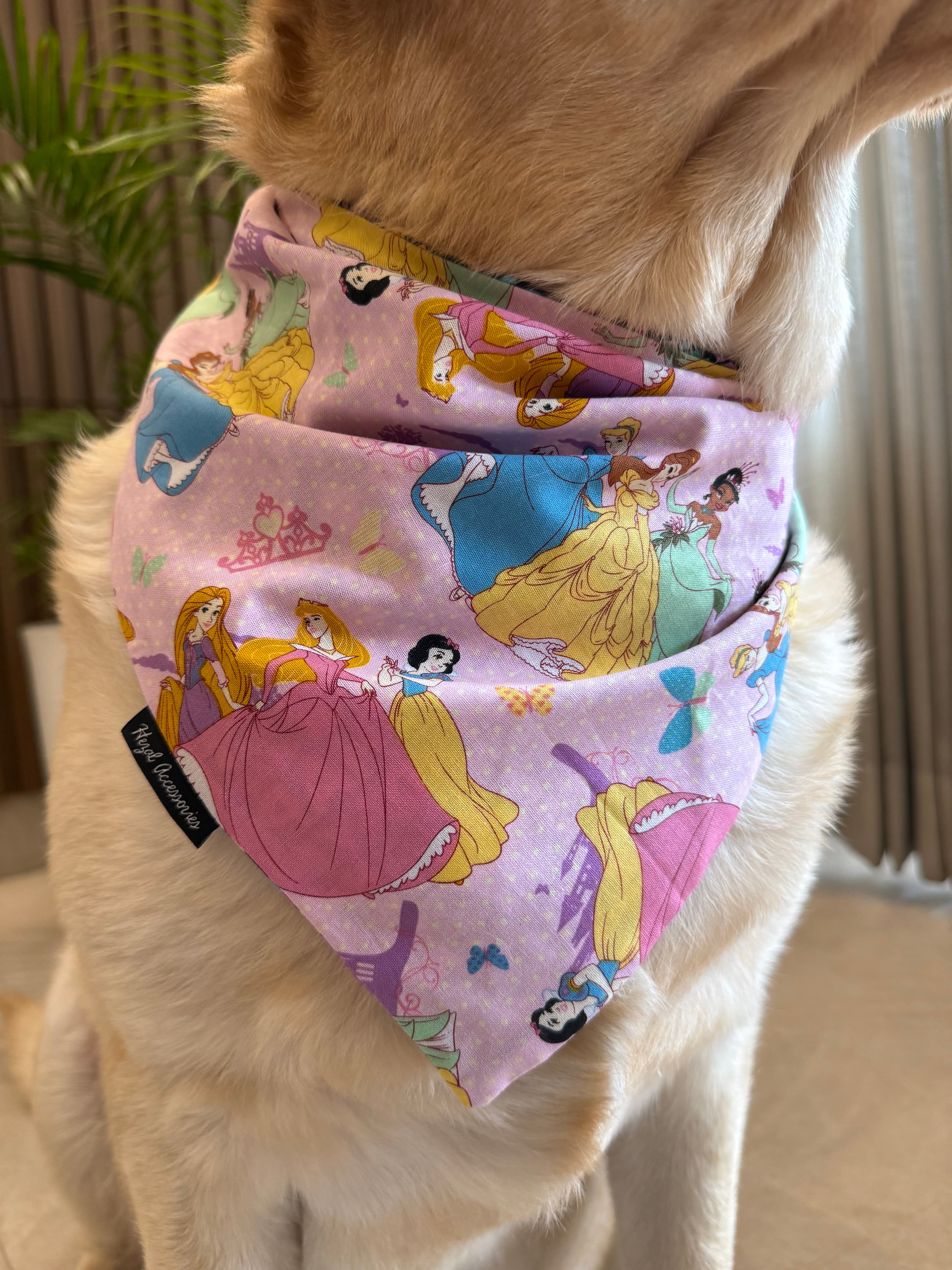 Princess Charm Bandana image 4