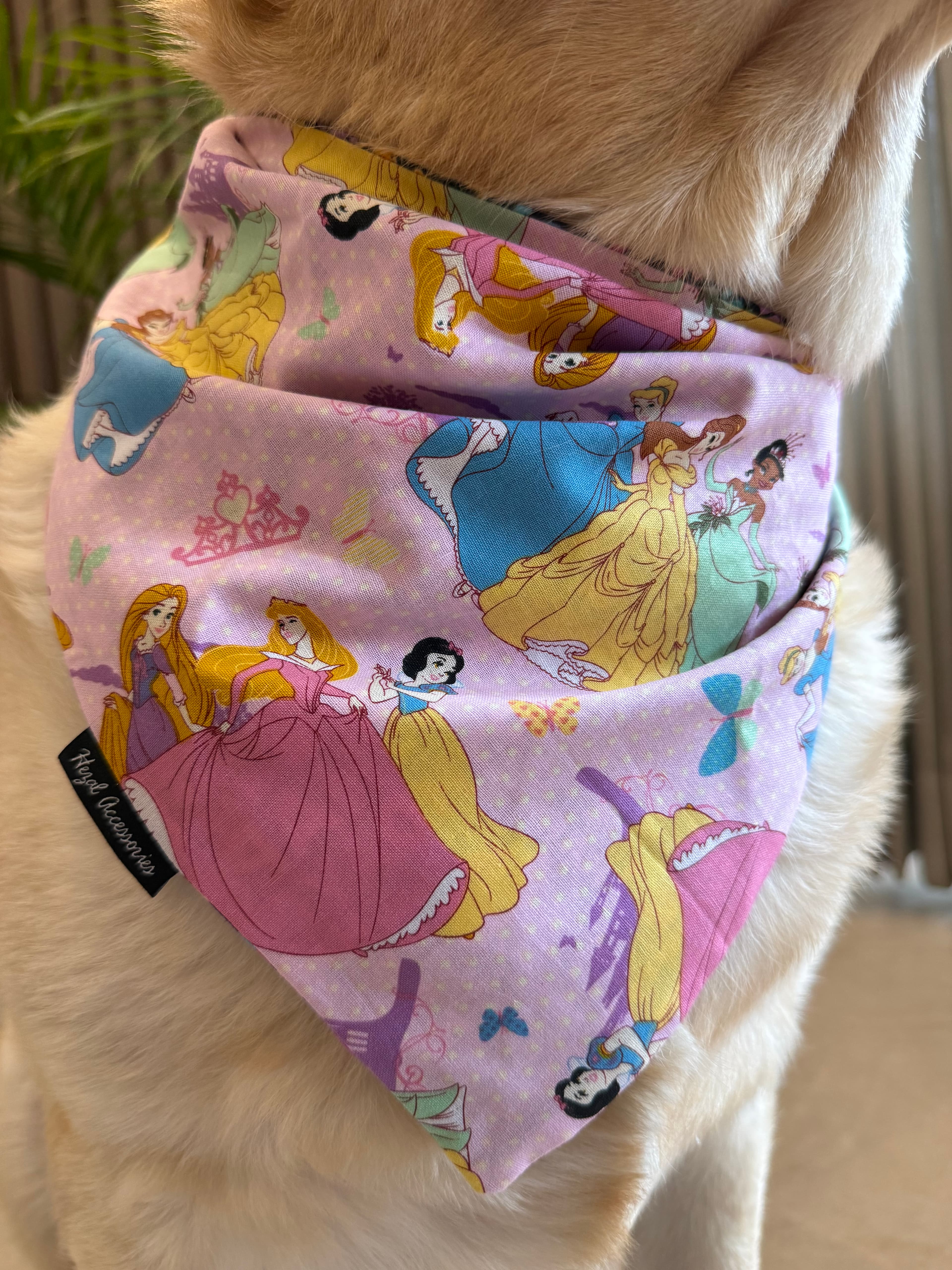 Princess Charm Bandana image 3