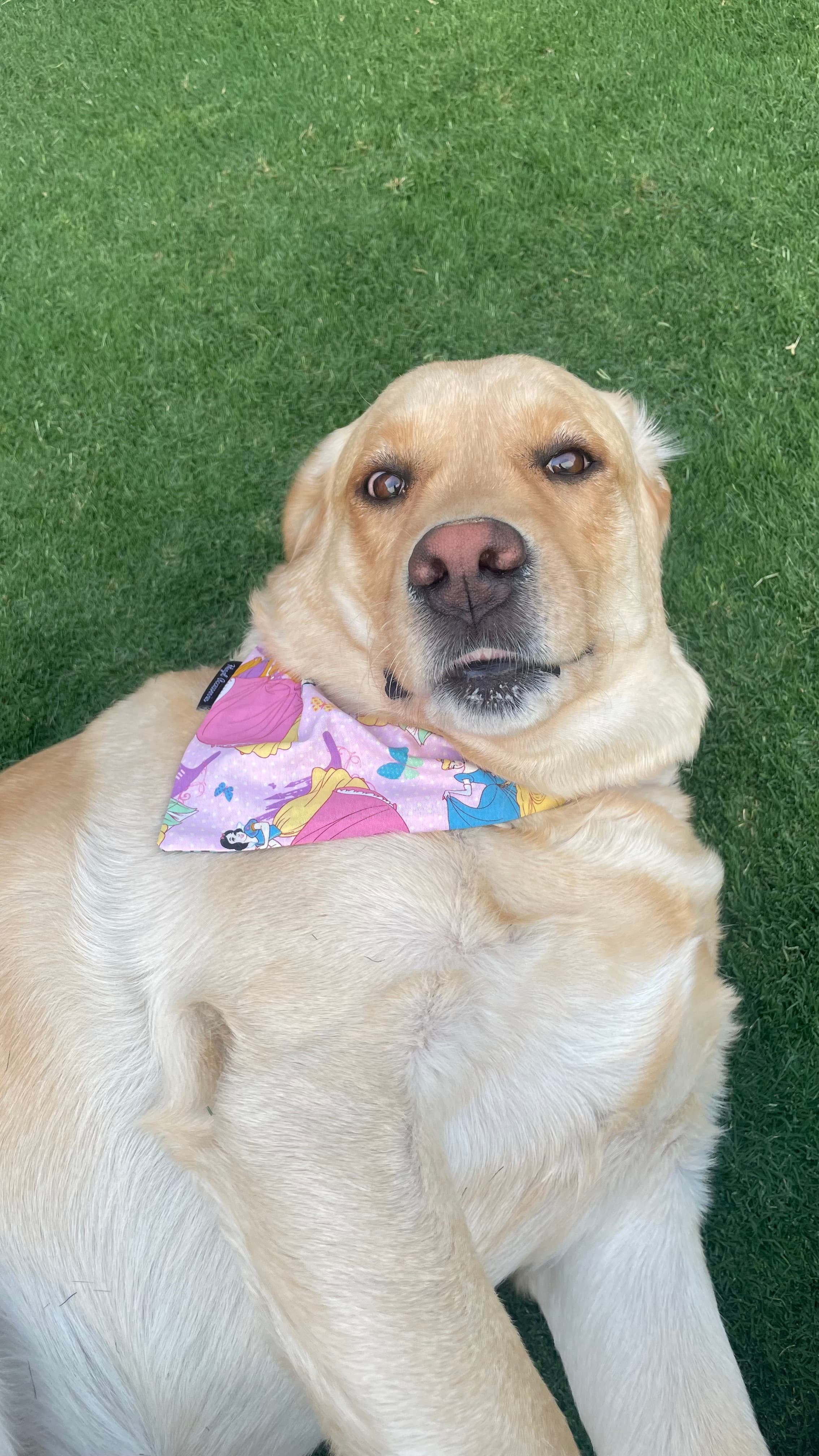 Princess Charm Bandana image 2