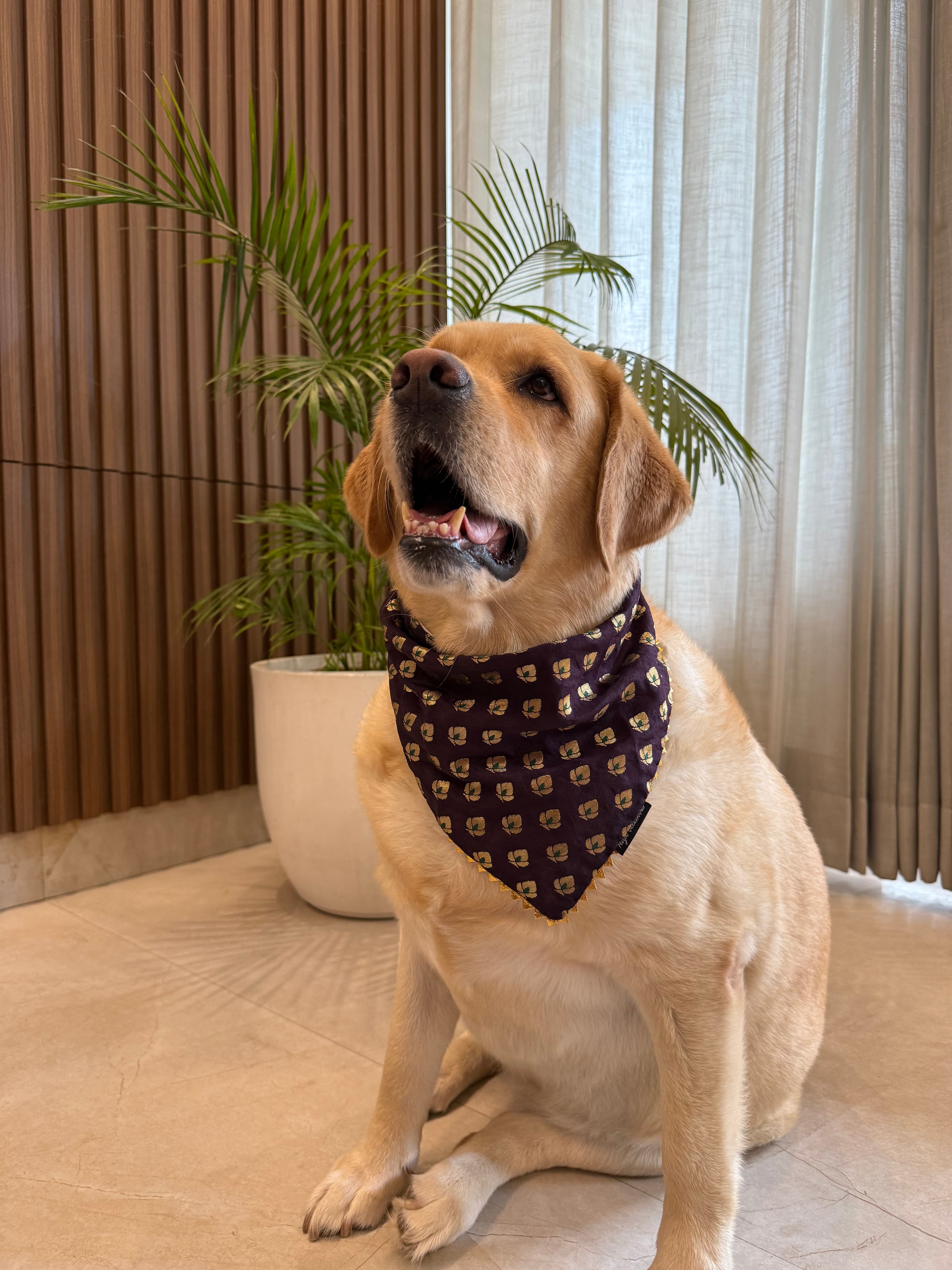 Jamun Bloom Bandana image 2
