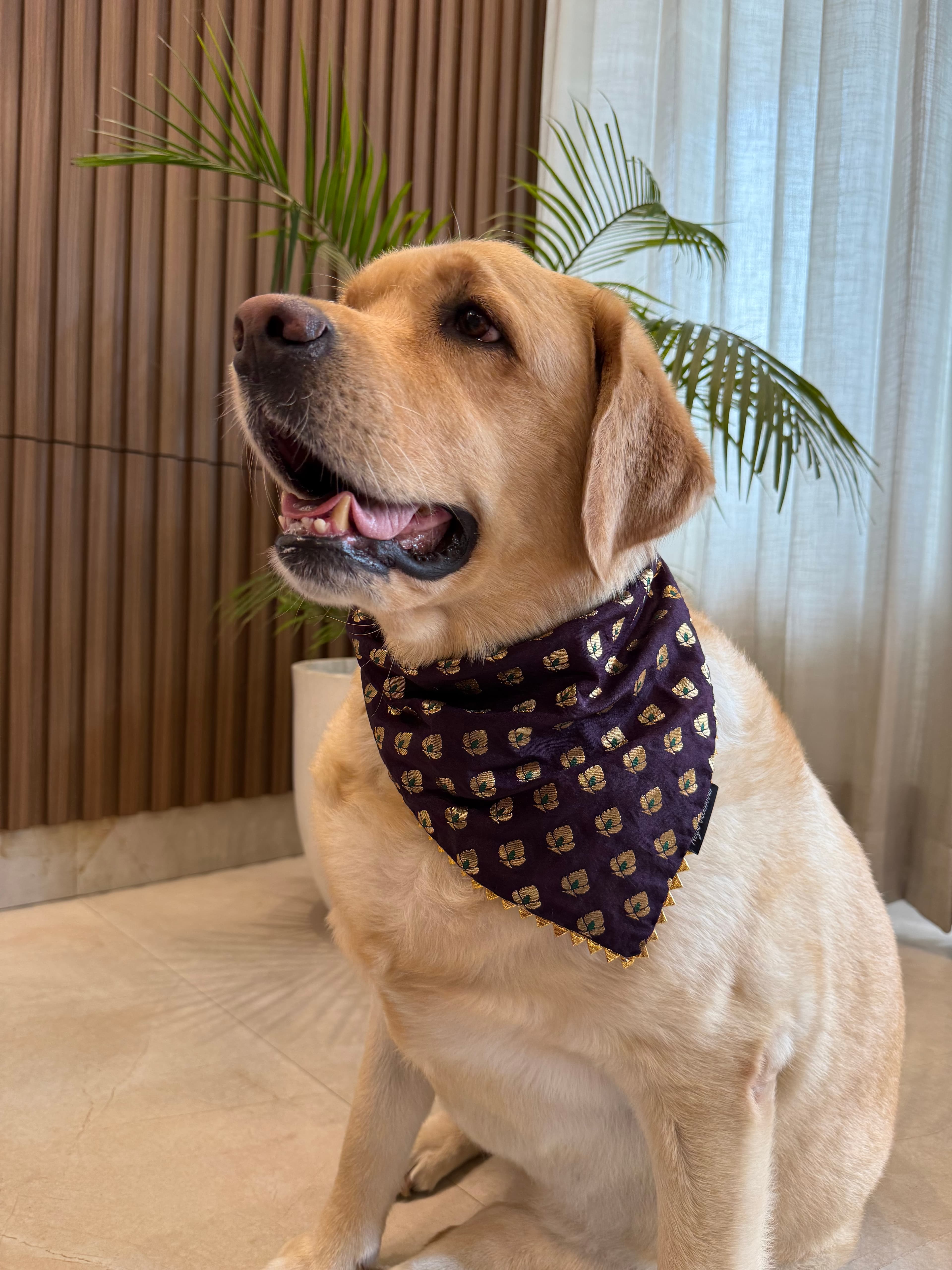 Jamun Bloom Bandana